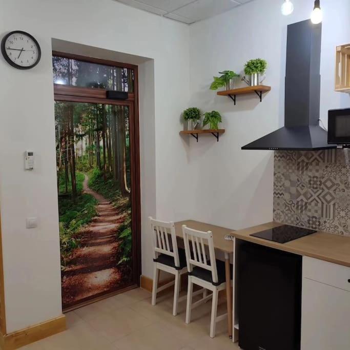 Estudio Mota