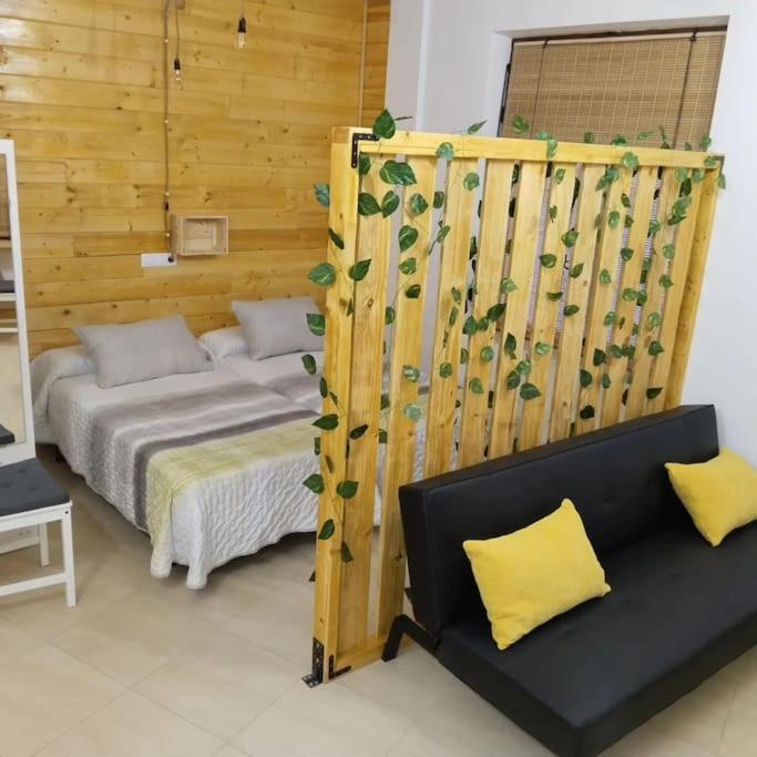 Estudio Mota