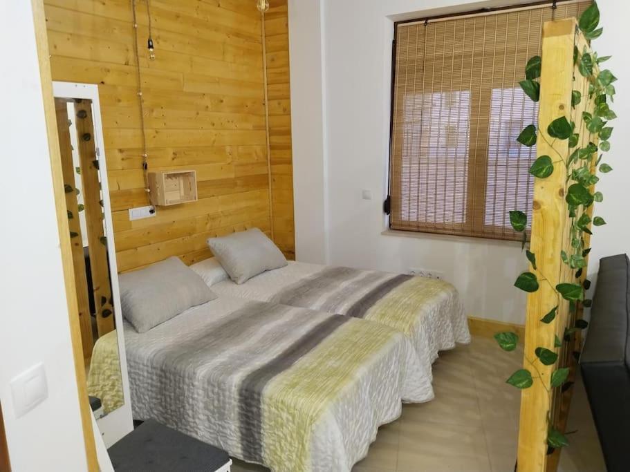 Estudio Mota