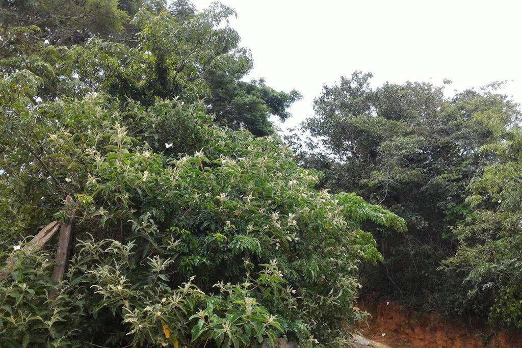 MARAVILHOSA CASA EM BÚZIOS AO LADO DO CENTRO