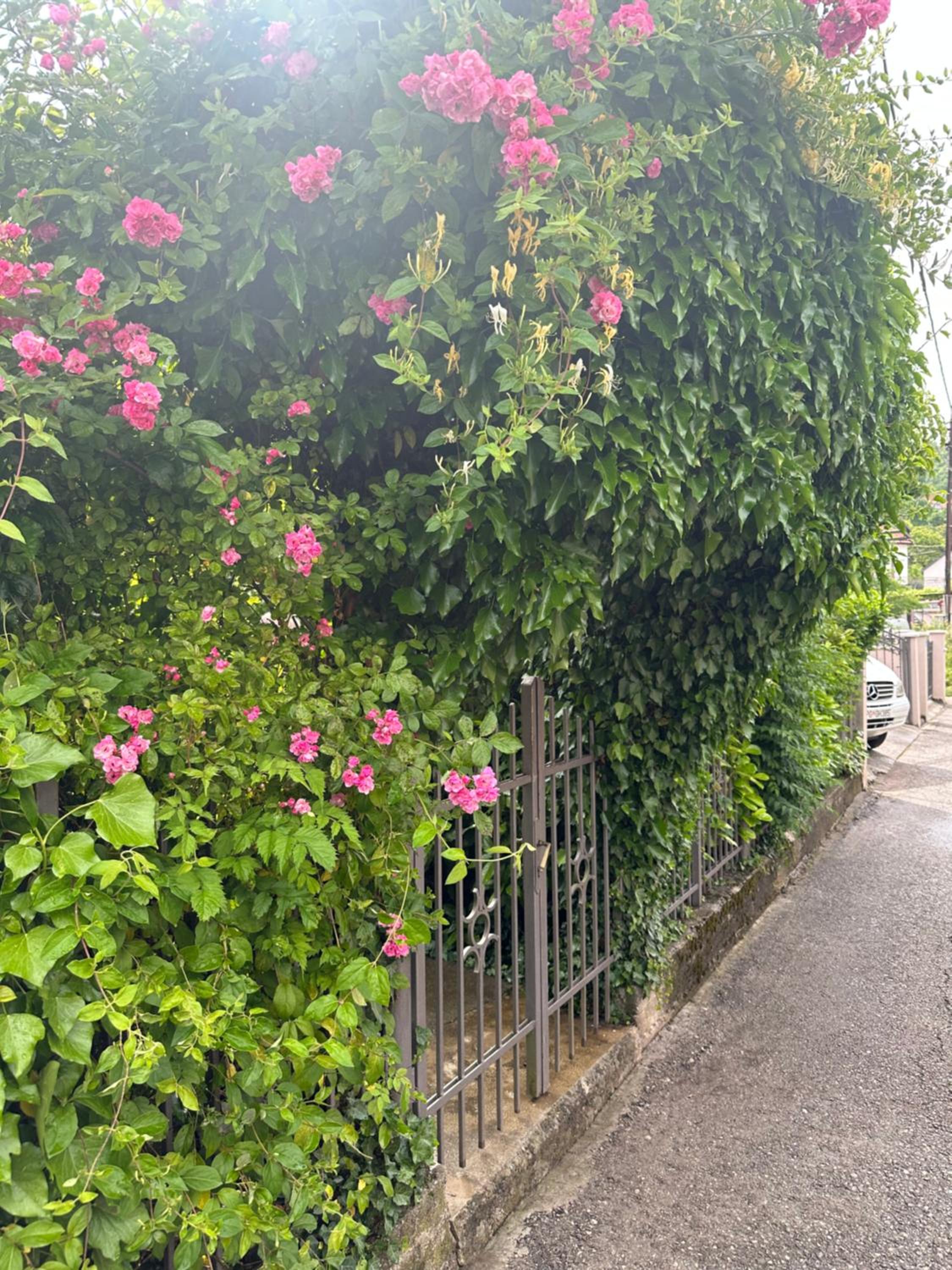 Photo 34