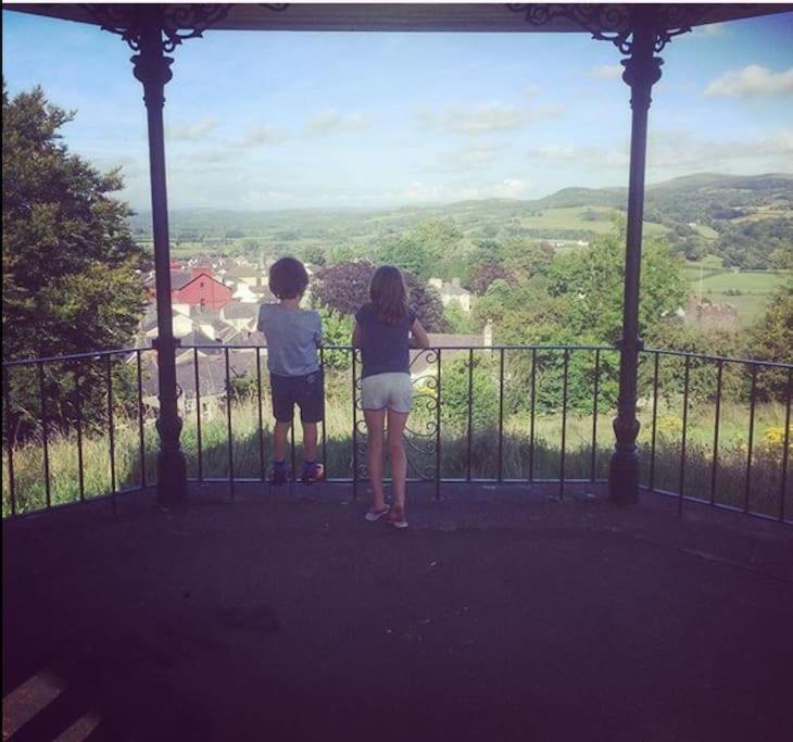 Quay Cottage Llandeilo view 4