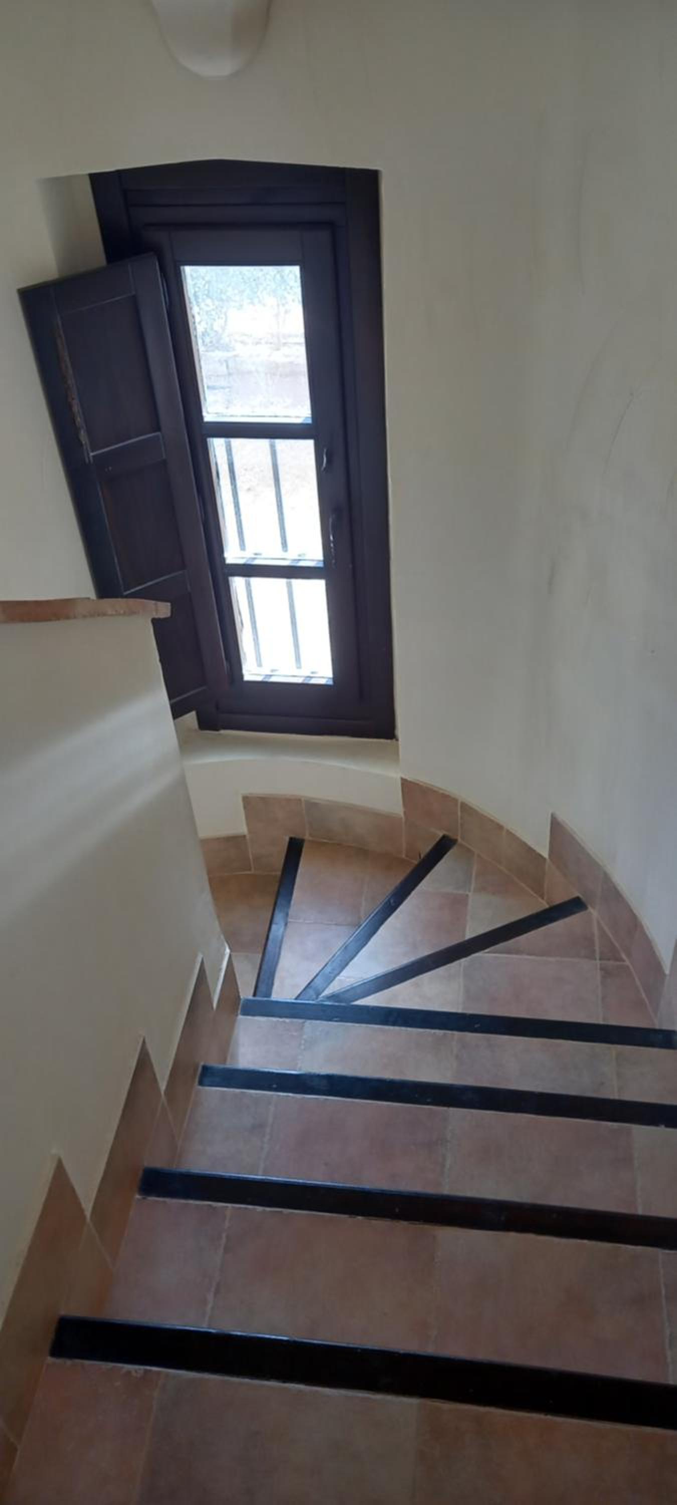 Photo 33