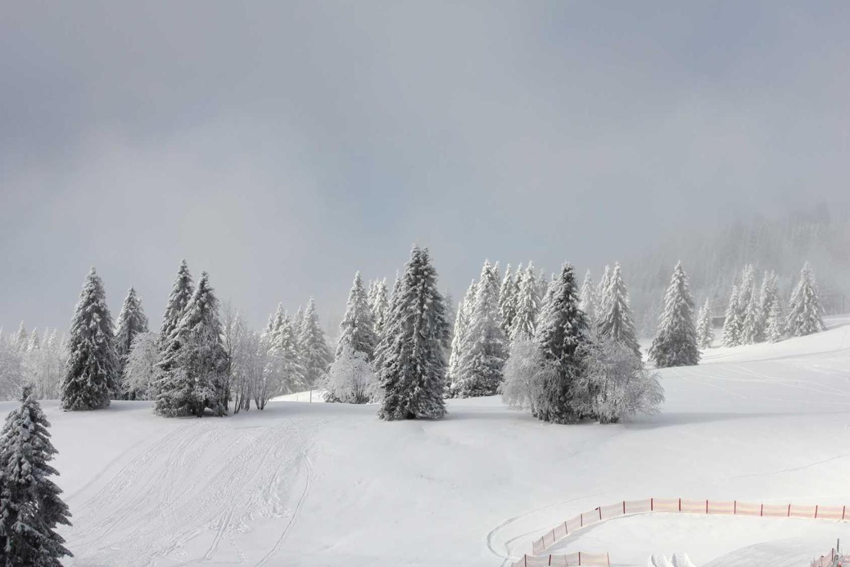 HUS - Chalet Lodges