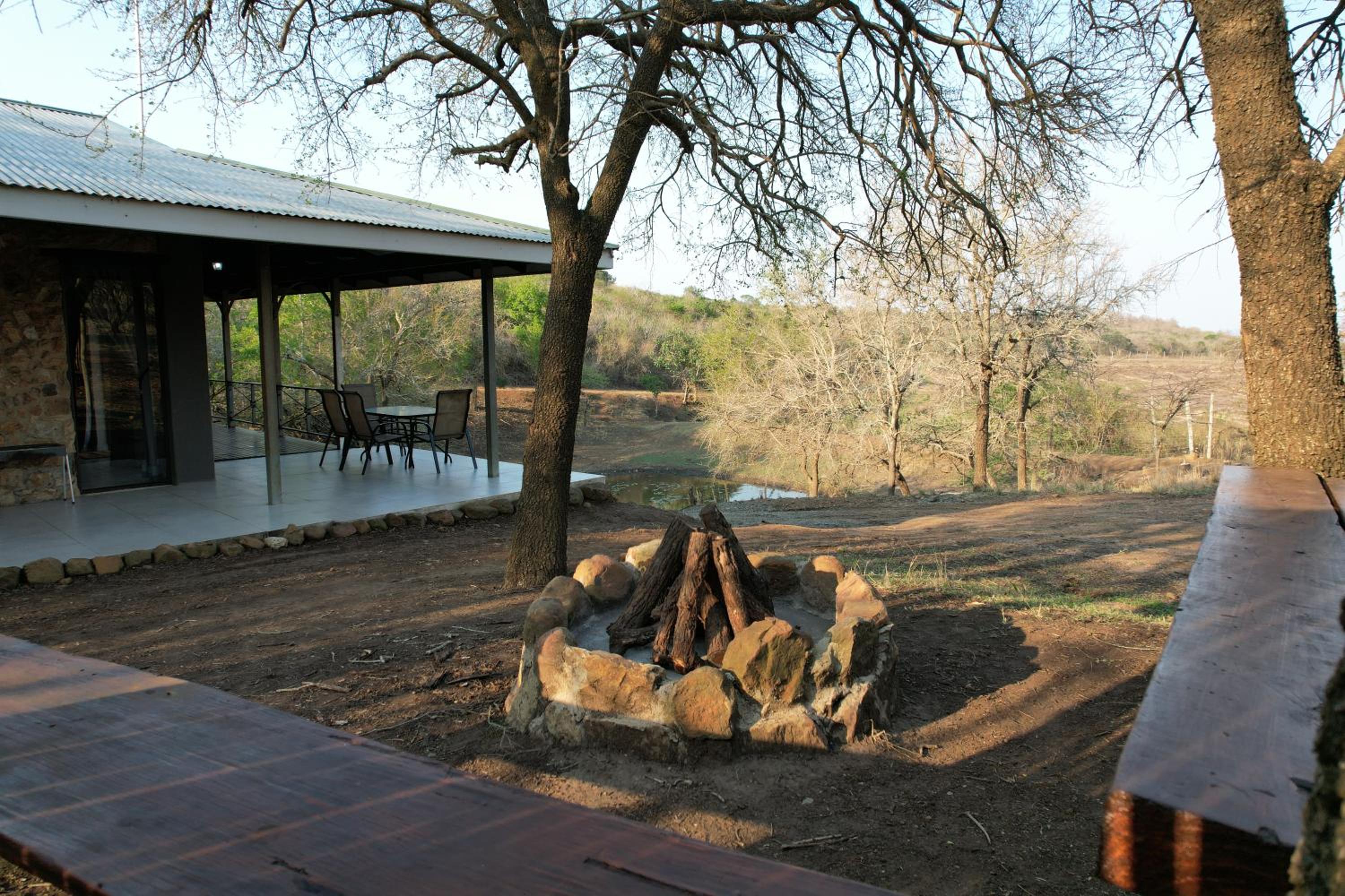 Photo 41