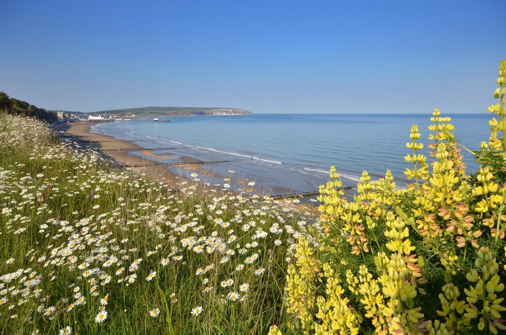 155 Sandown Bay Holiday Park view 4