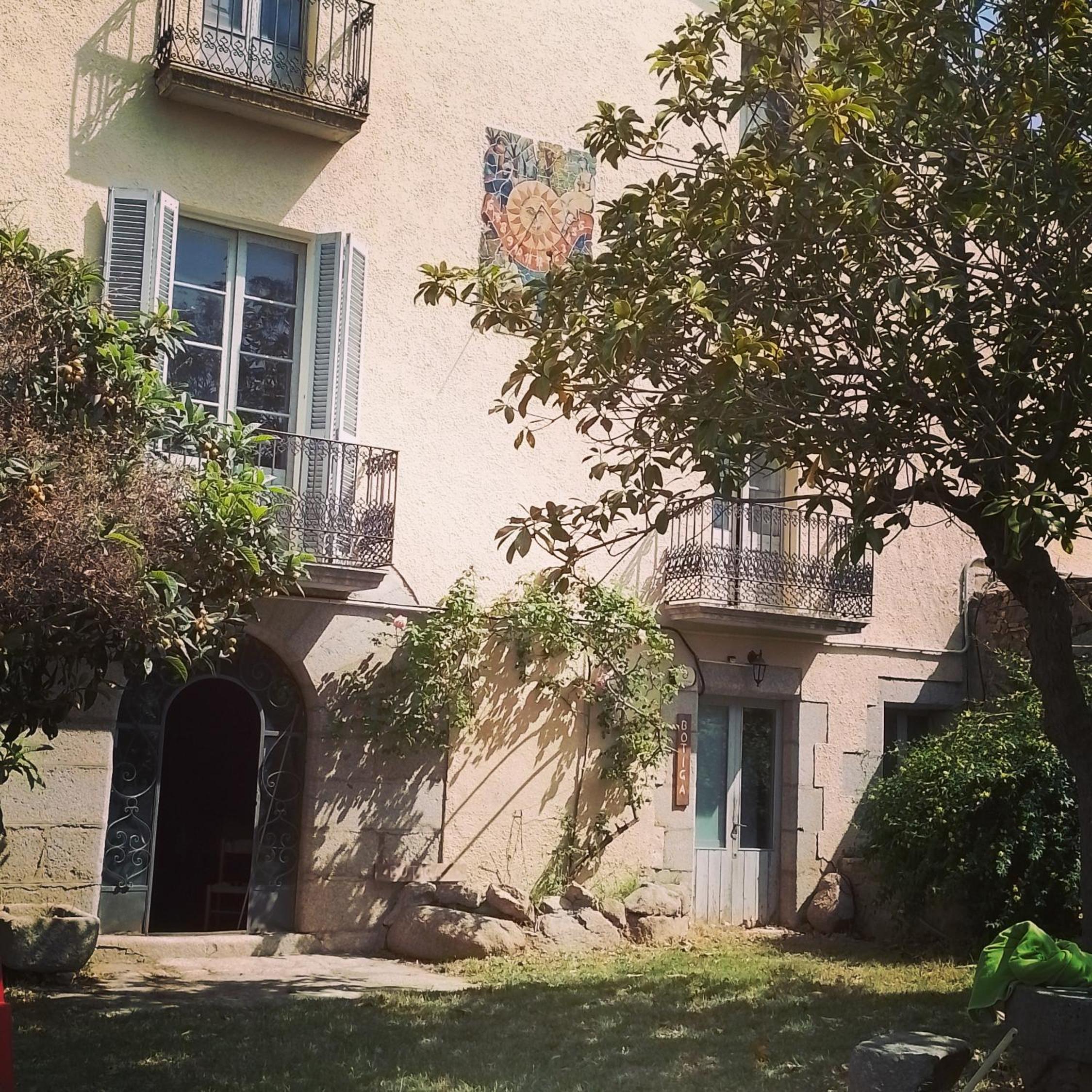Photo 6