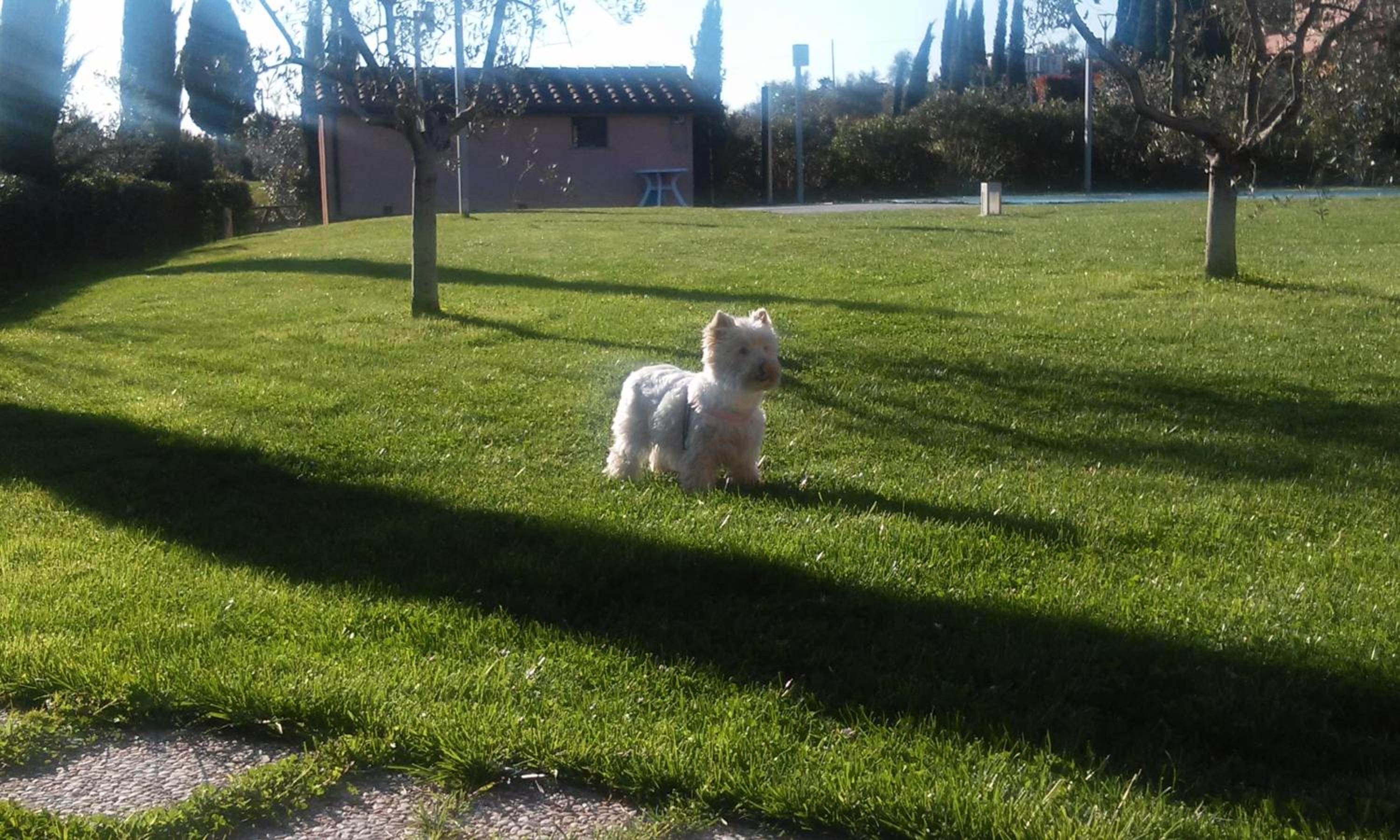 Agriturismo Gli Archi
