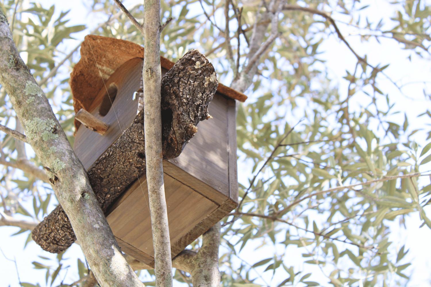 El Balcón de Linares by SIERRA VIVA photo 5