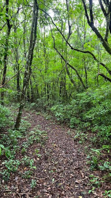 Cabana Romântica para Casais na Serra Gaúcha