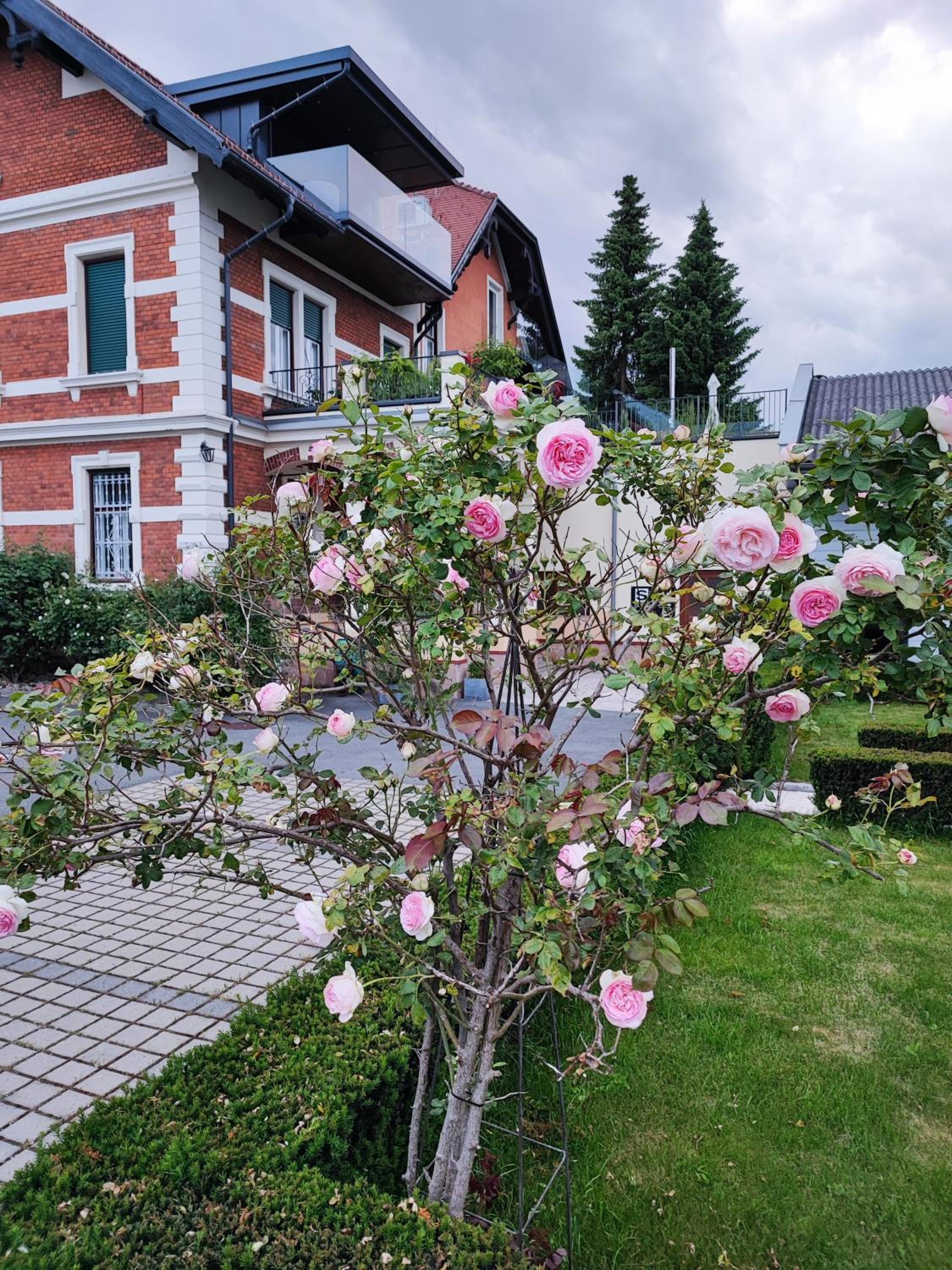 KUNST-VILLA Apartments Suite mit Sauna, GrazSüd, Apartment mit Gartenblick ohne Sauna