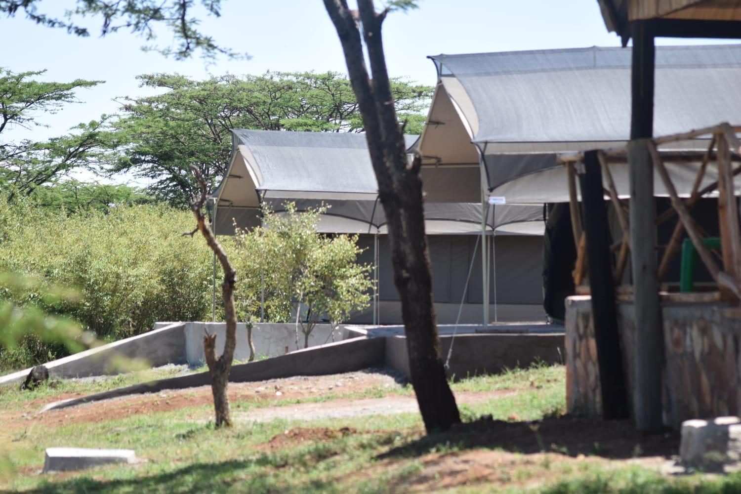 Luxurious haven maasai mara safari camp in kenya view 3