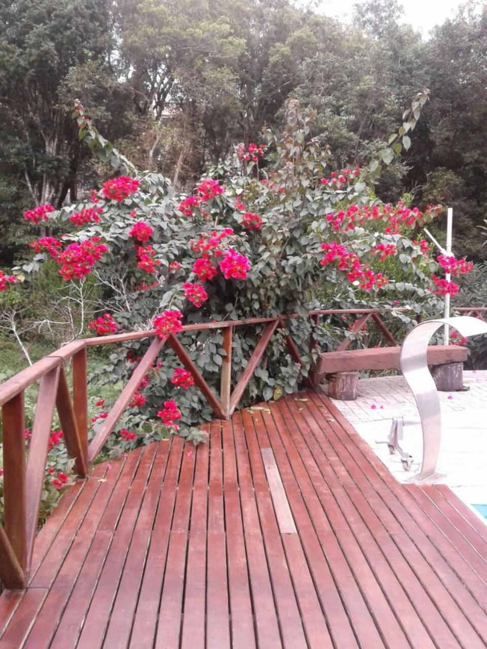 Chacara Recanto Vale do Luar
