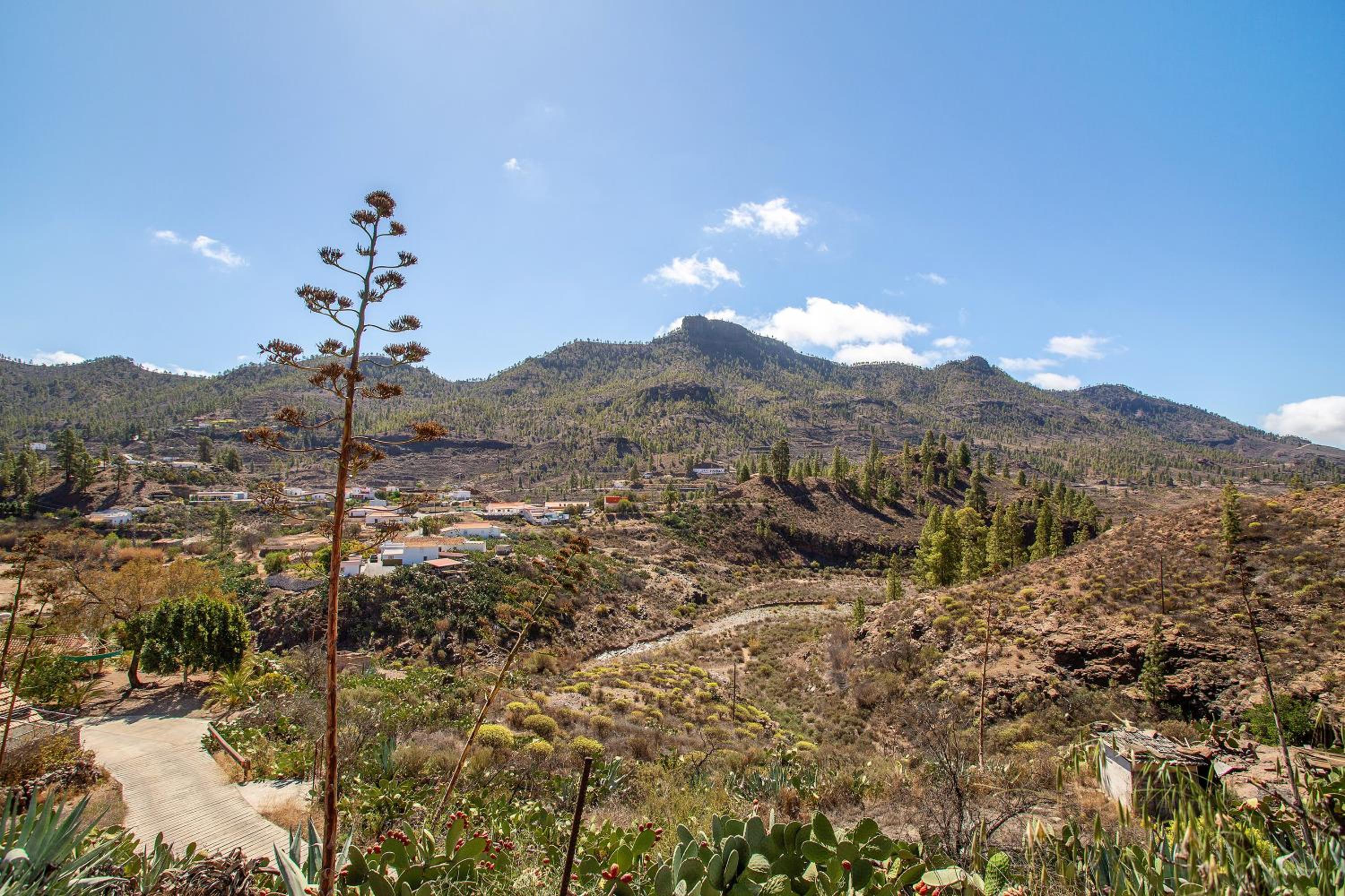 Vista Paraíso de Chira
