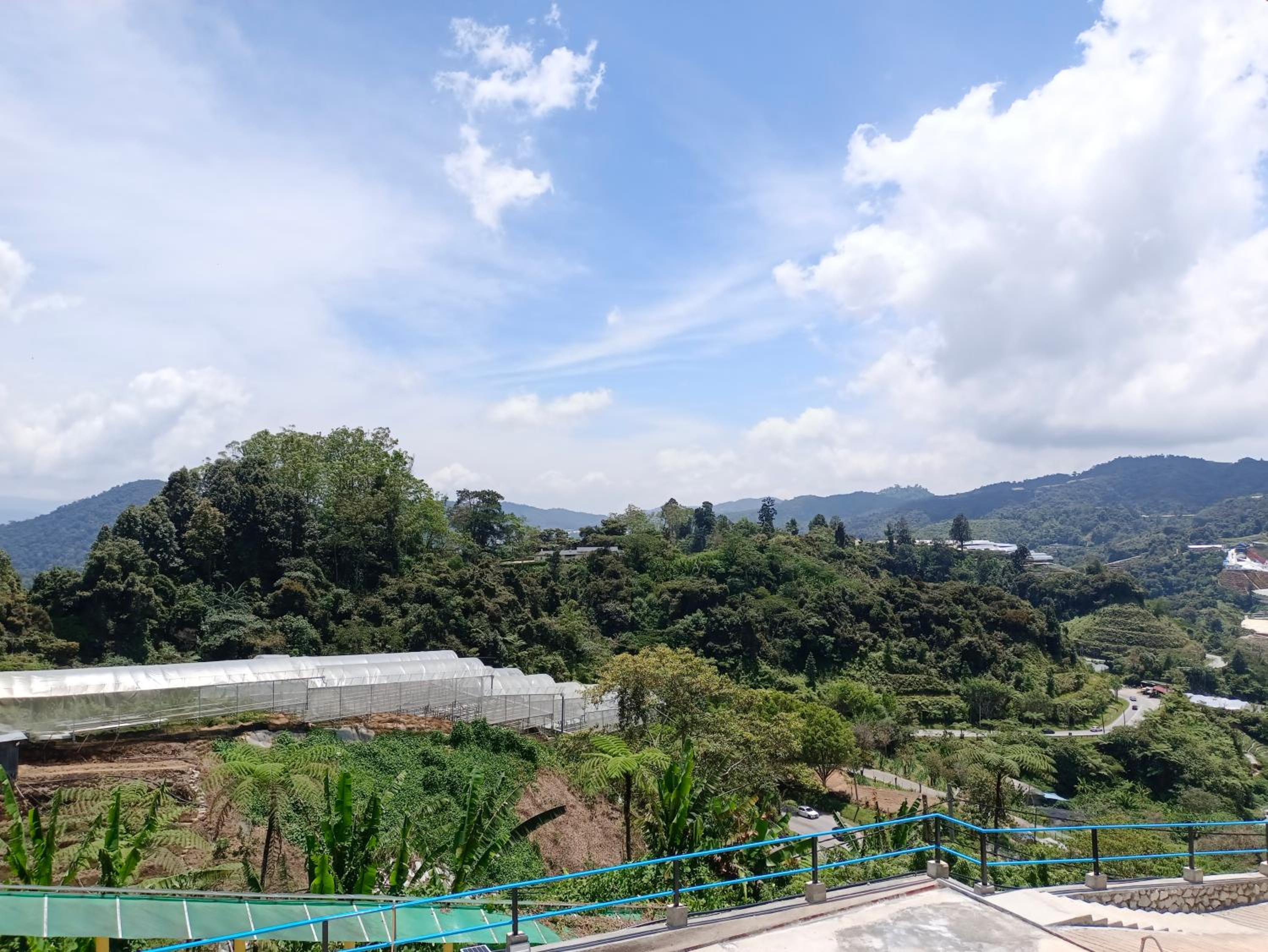 Cameron Highlands Blueberry Earth House