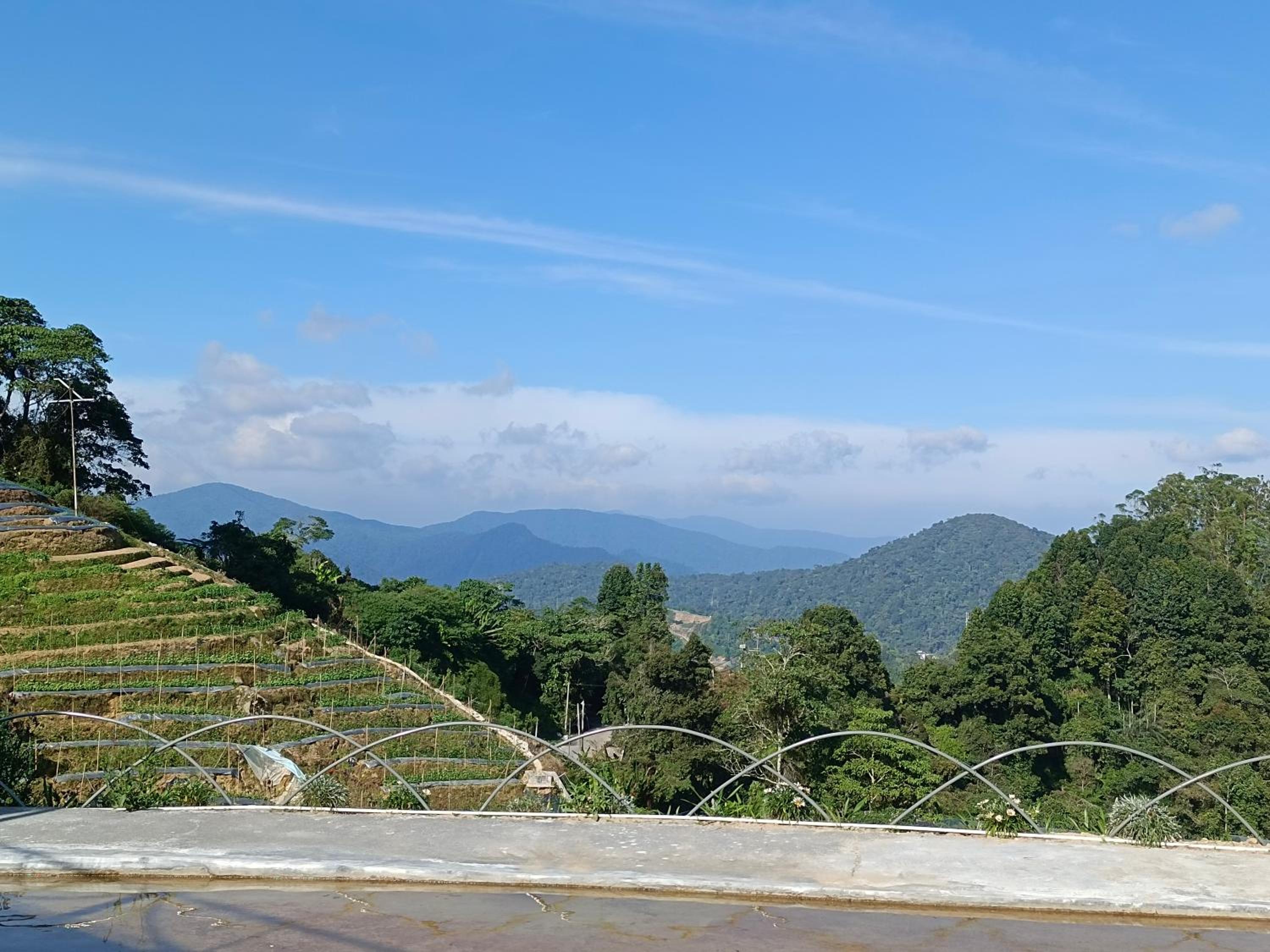 Cameron Highlands Blueberry Earth House
