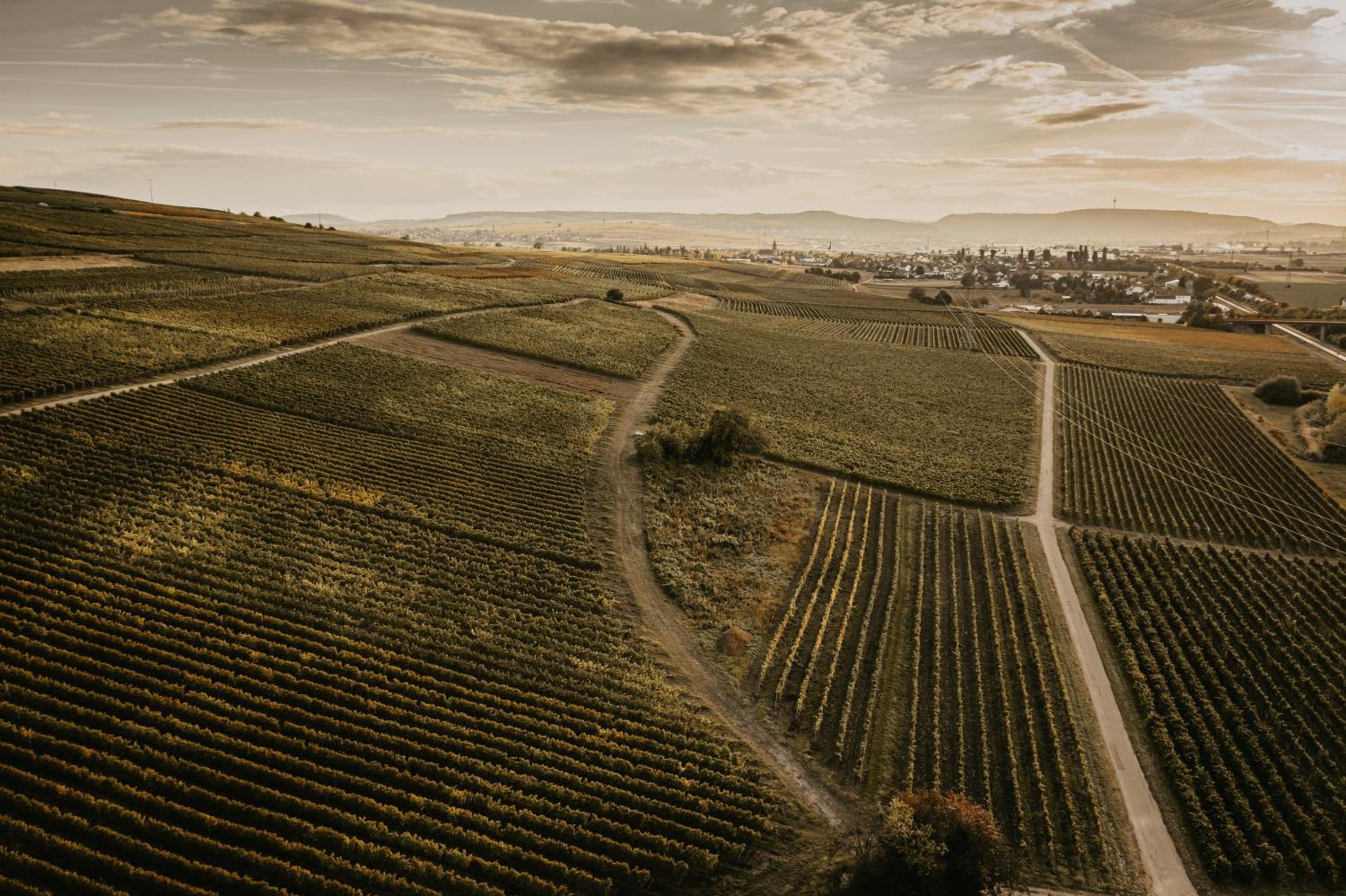 Weingut u. Gästehaus Vogt-Fehlinger