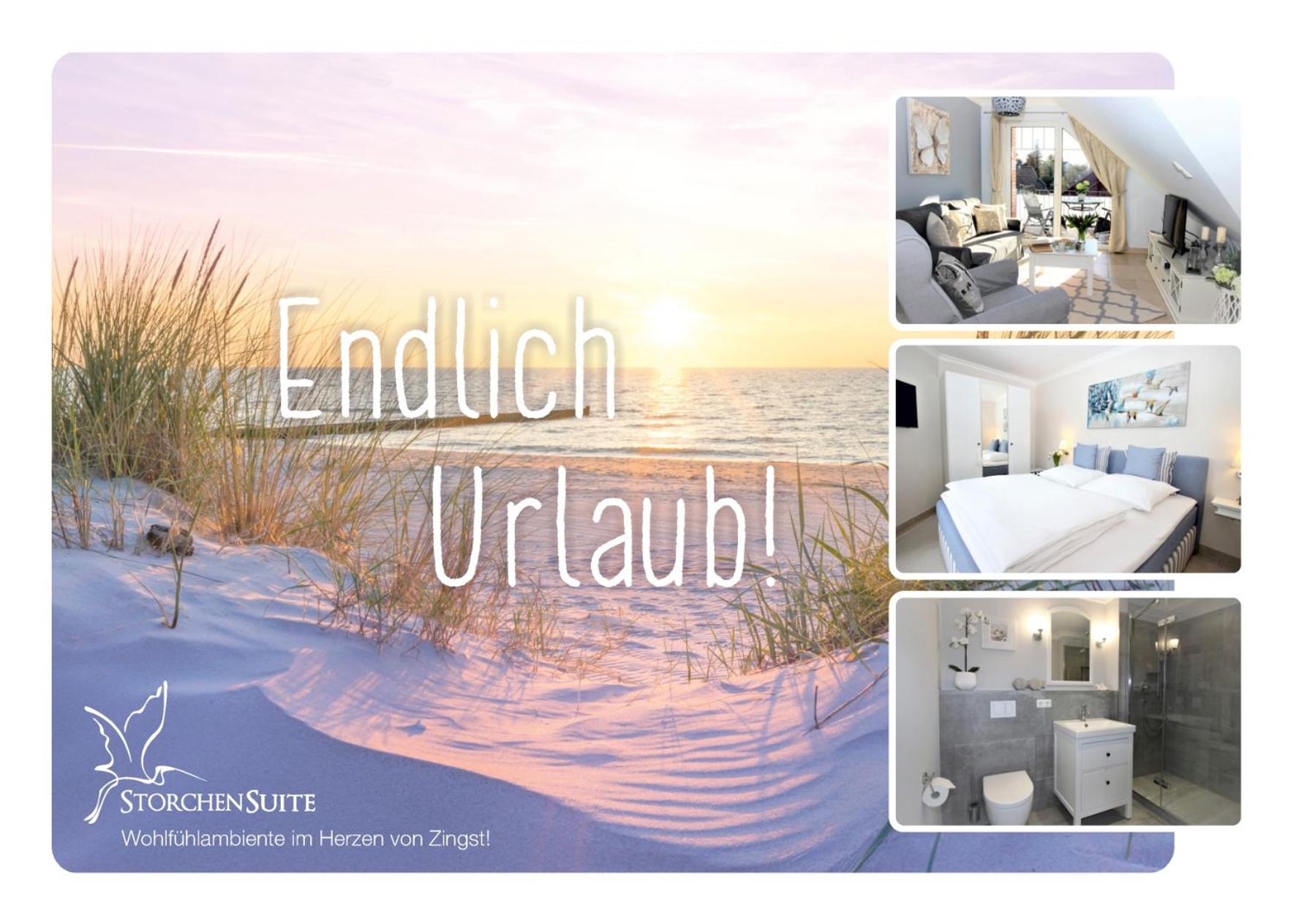 StorchenSuite - Zingst