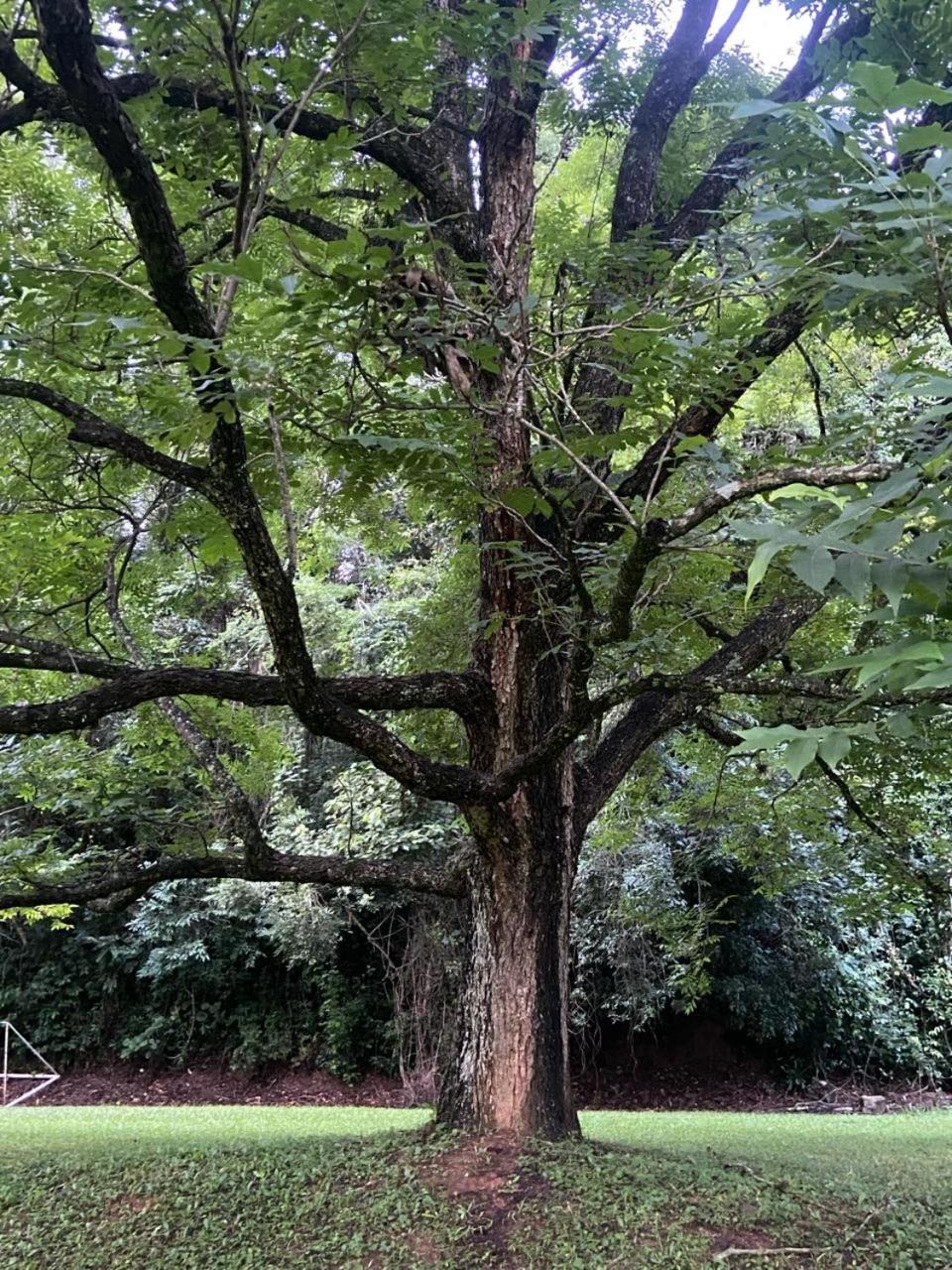 Fazenda São Miguel