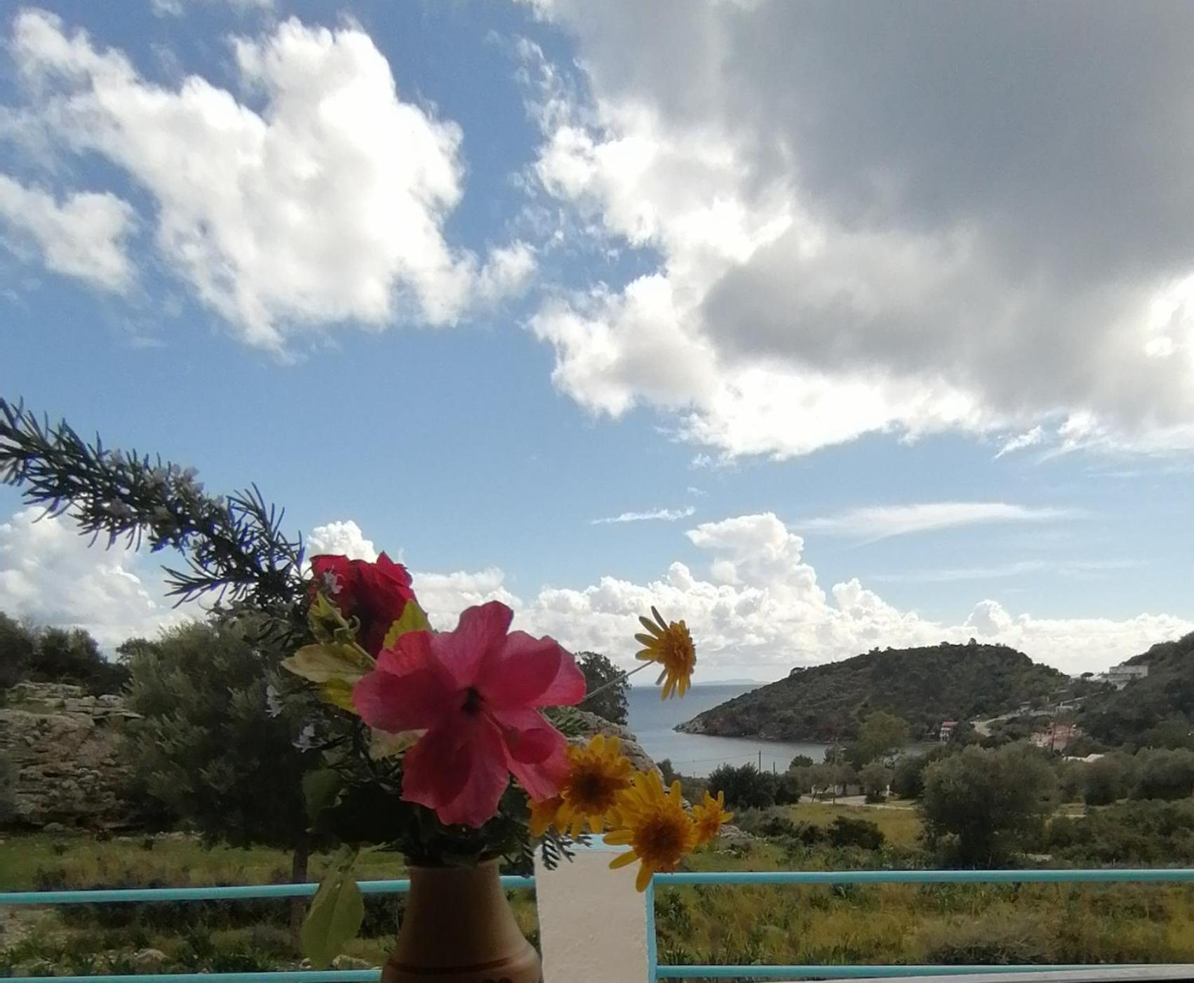 Studios Ioanna Limnionas Samos