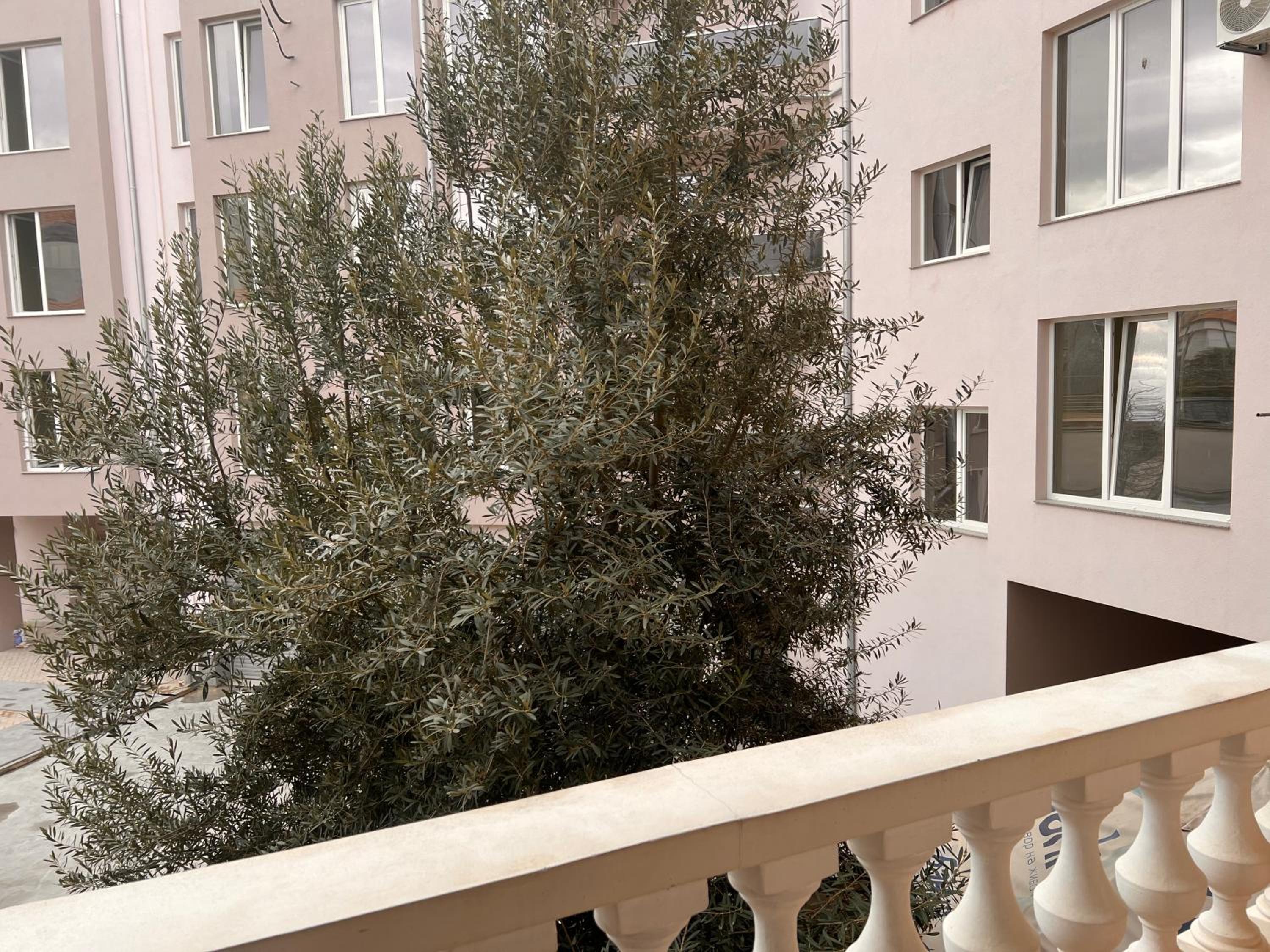 Apartament Marinela 2