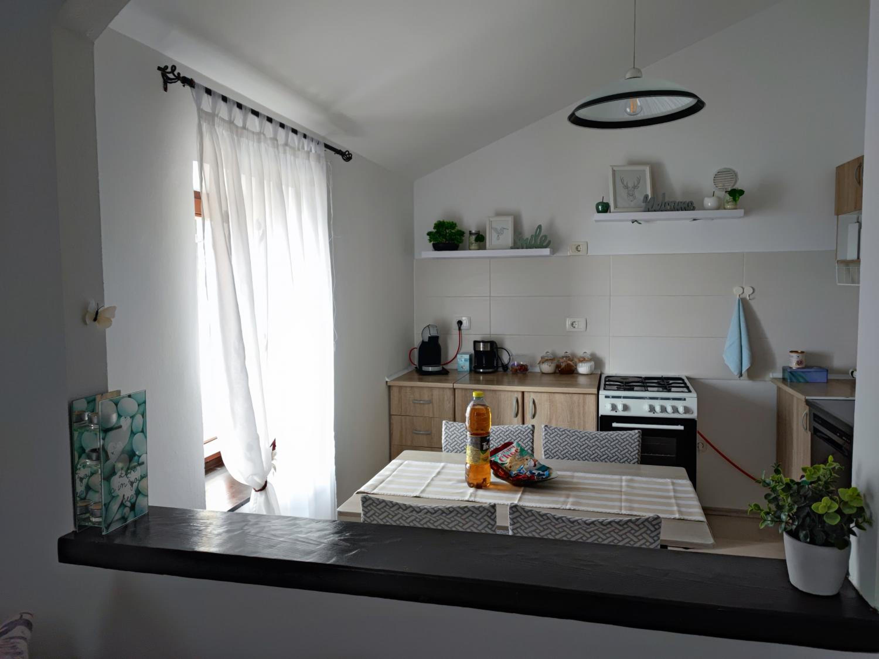 Apartment Nika