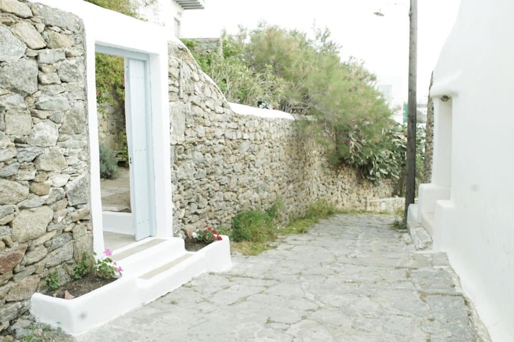 Photo 19