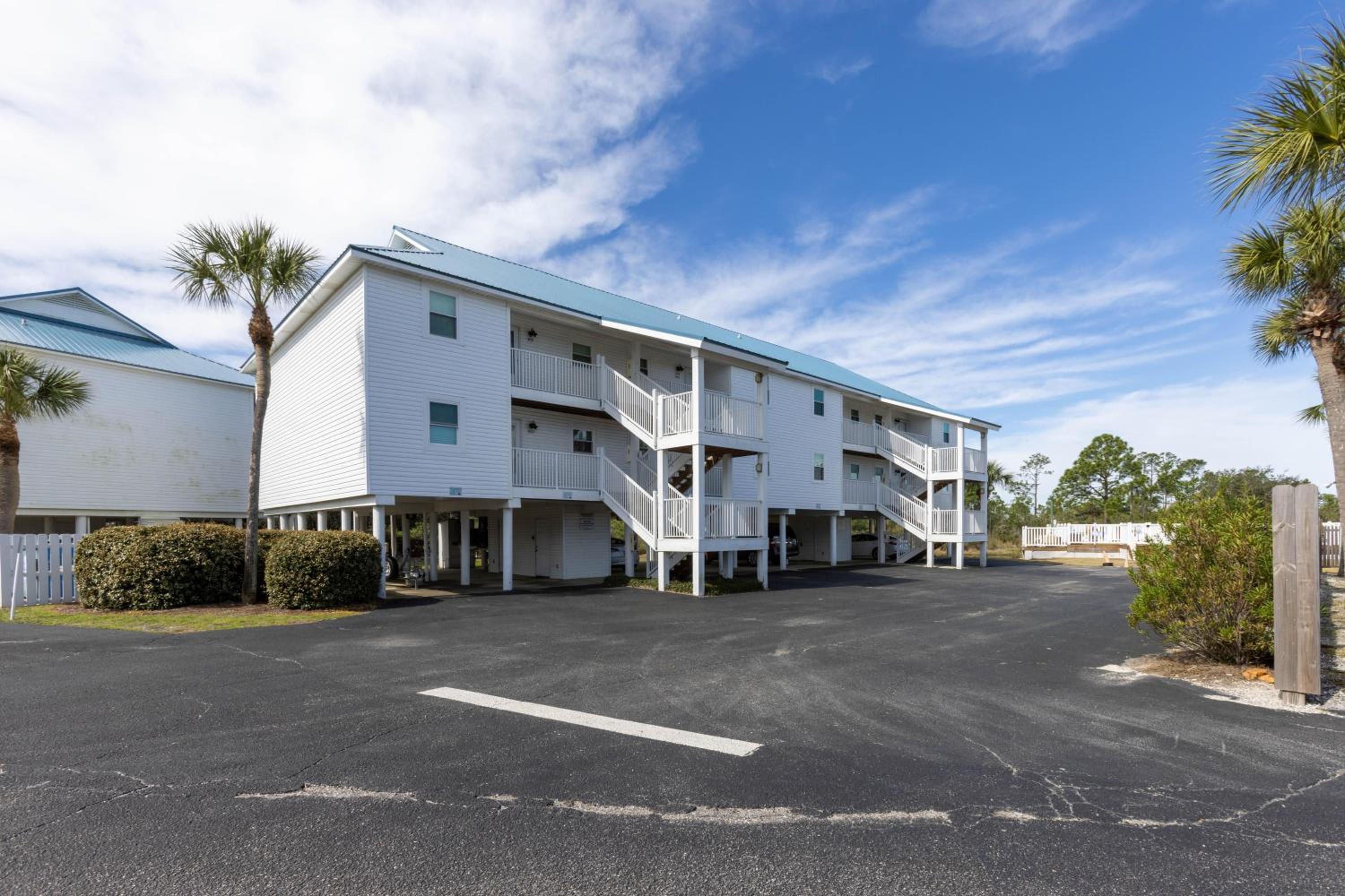 Palmetto 306