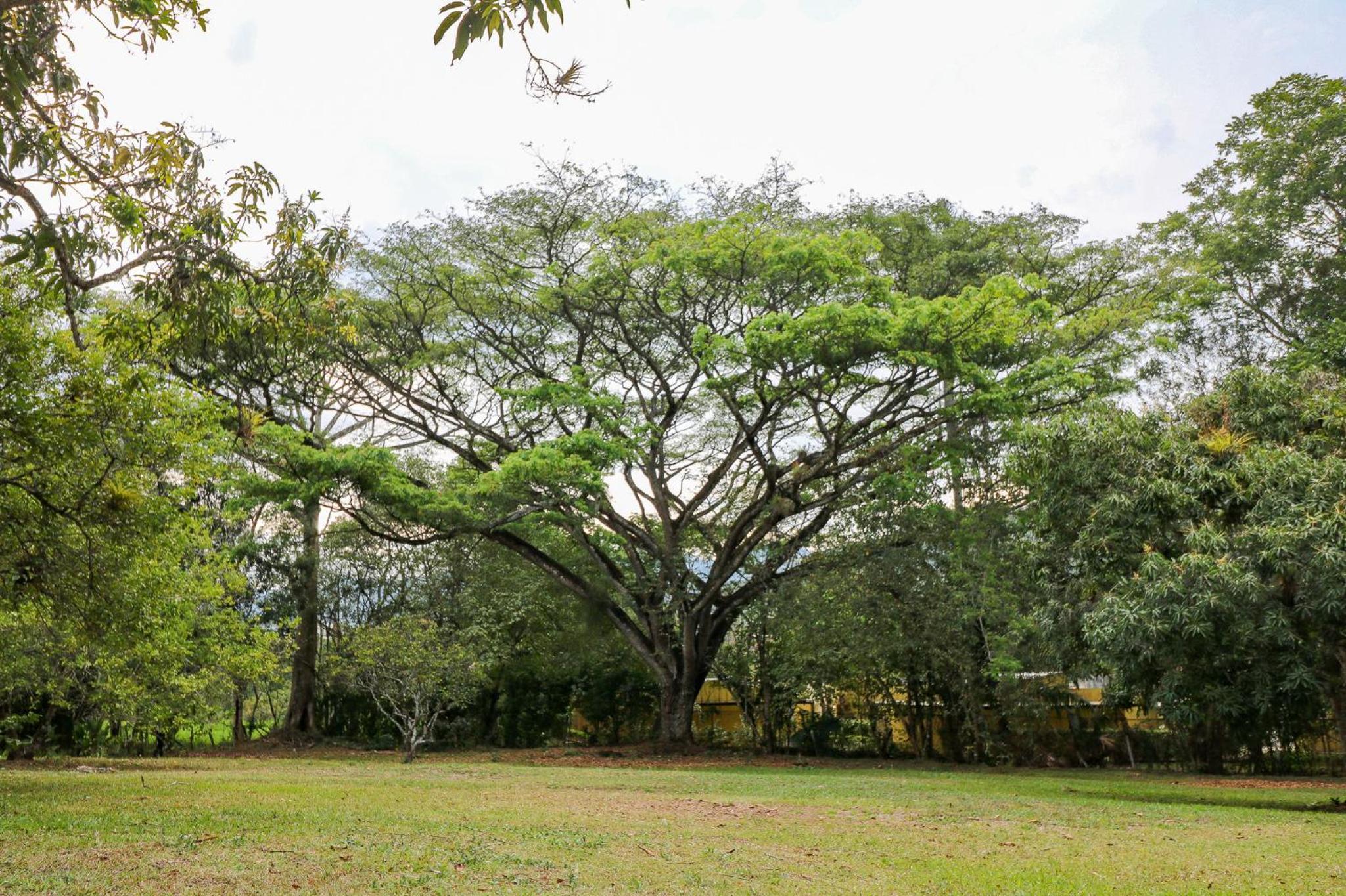 Hermosa cabaña en Villeta