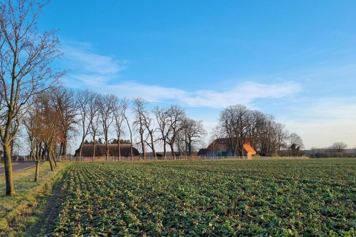 Ferienhaus Forsthaus Stolpe