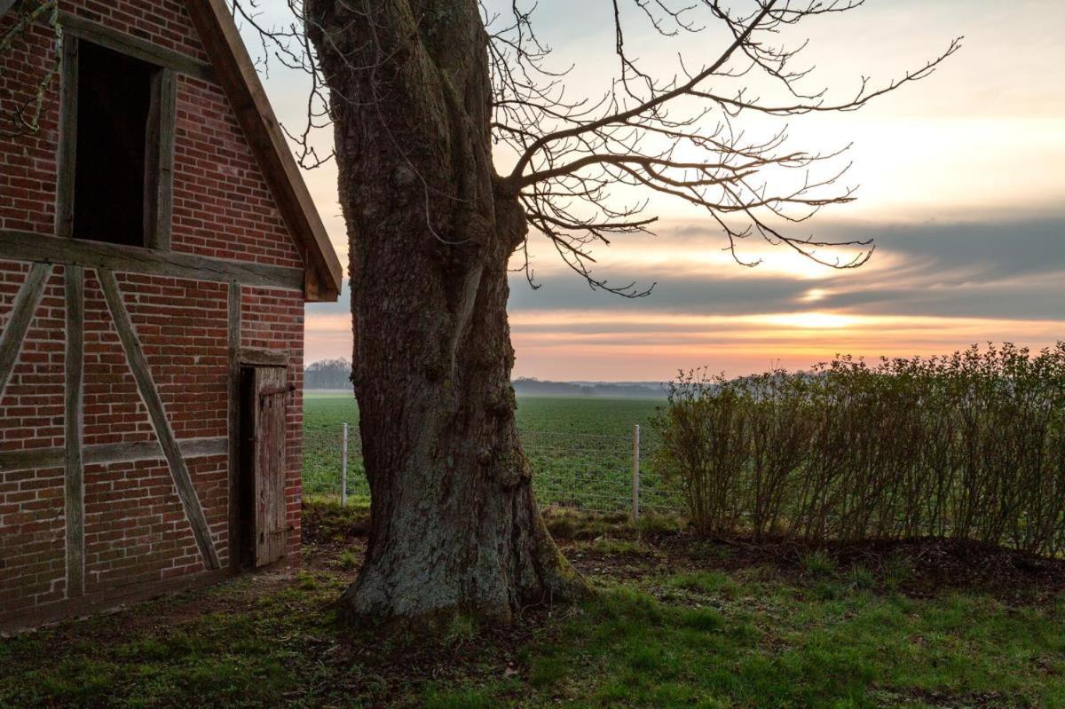 Ferienhaus Forsthaus Stolpe