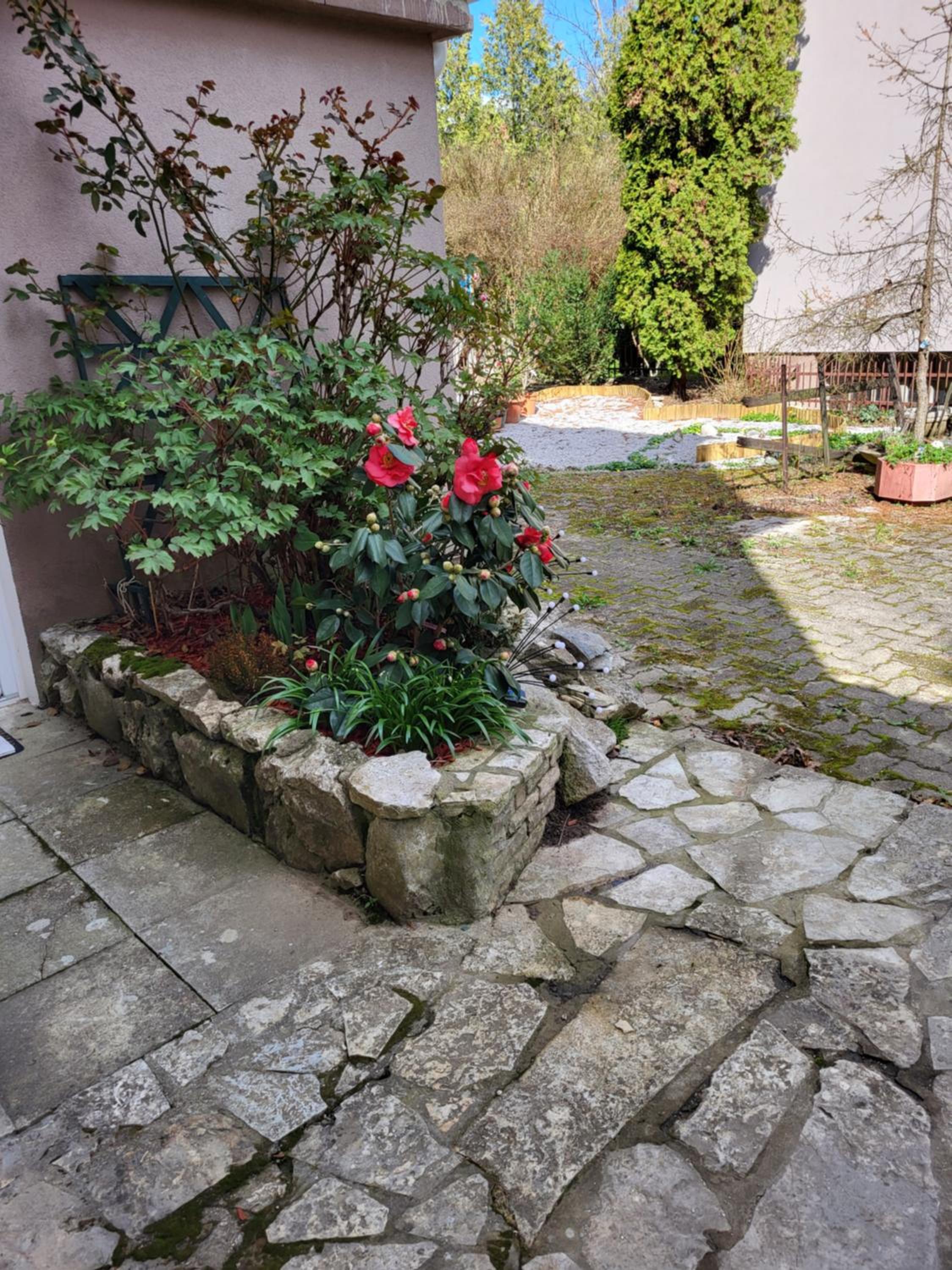 Photo 18