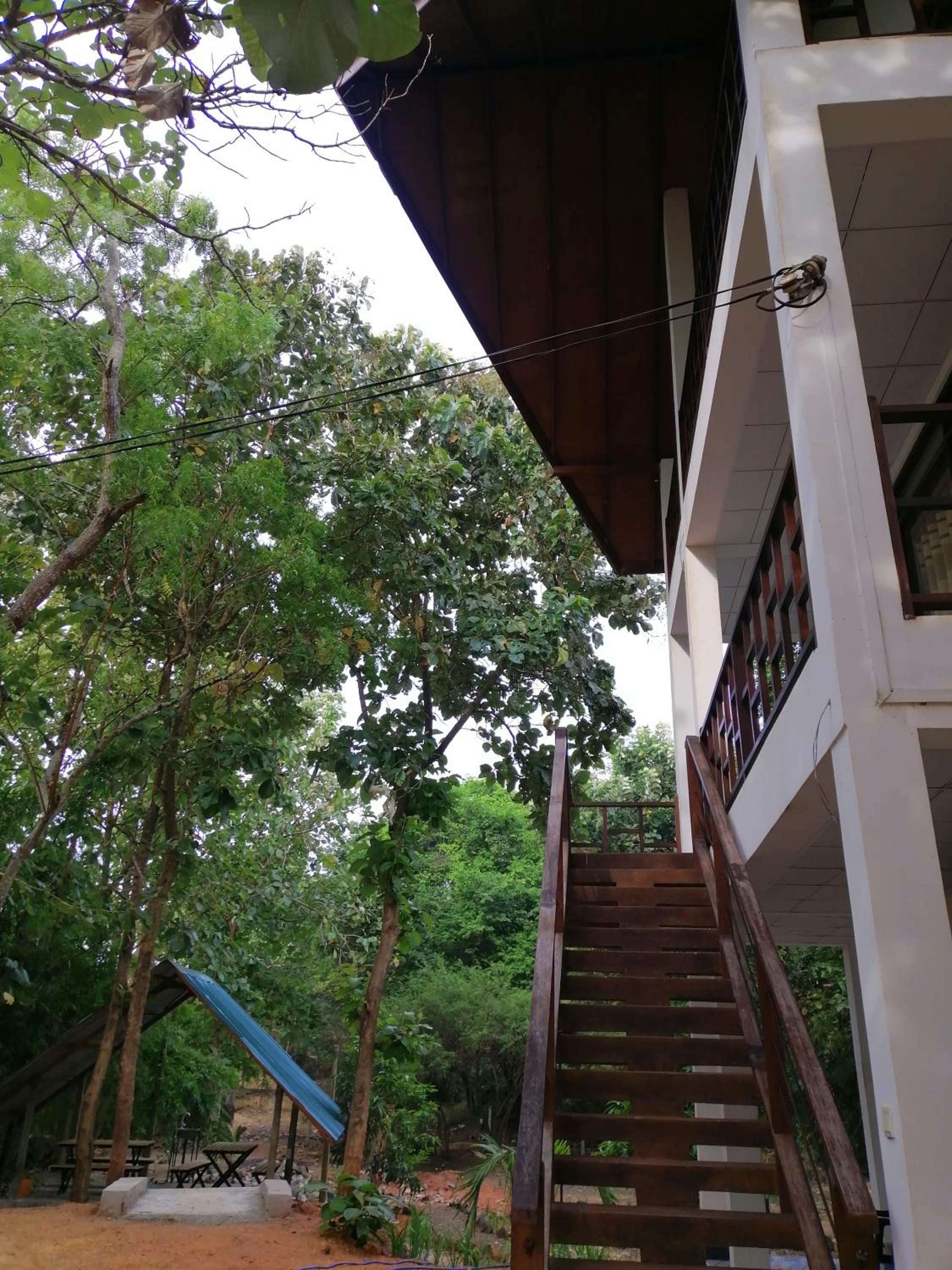 Photo 42