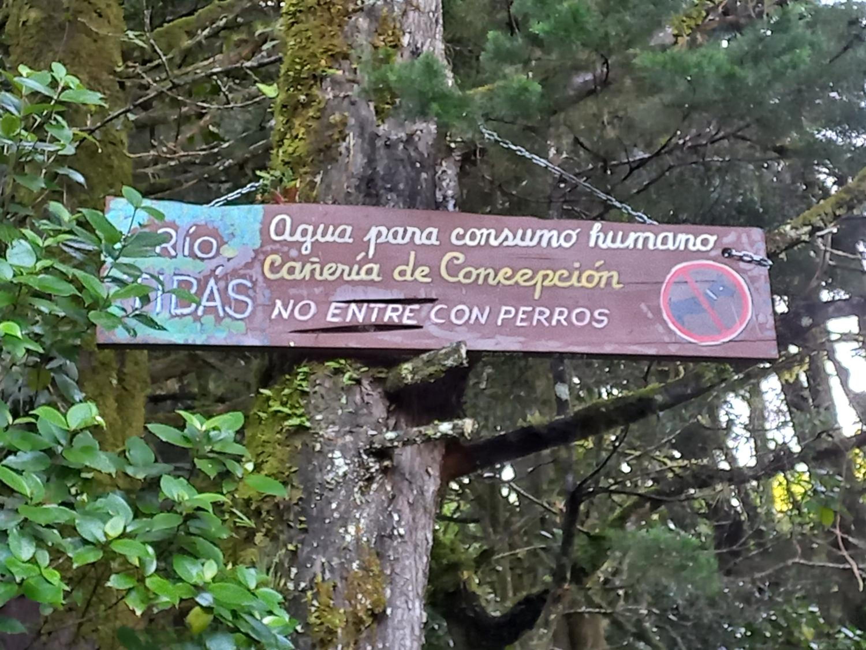 Aires de Quetzales