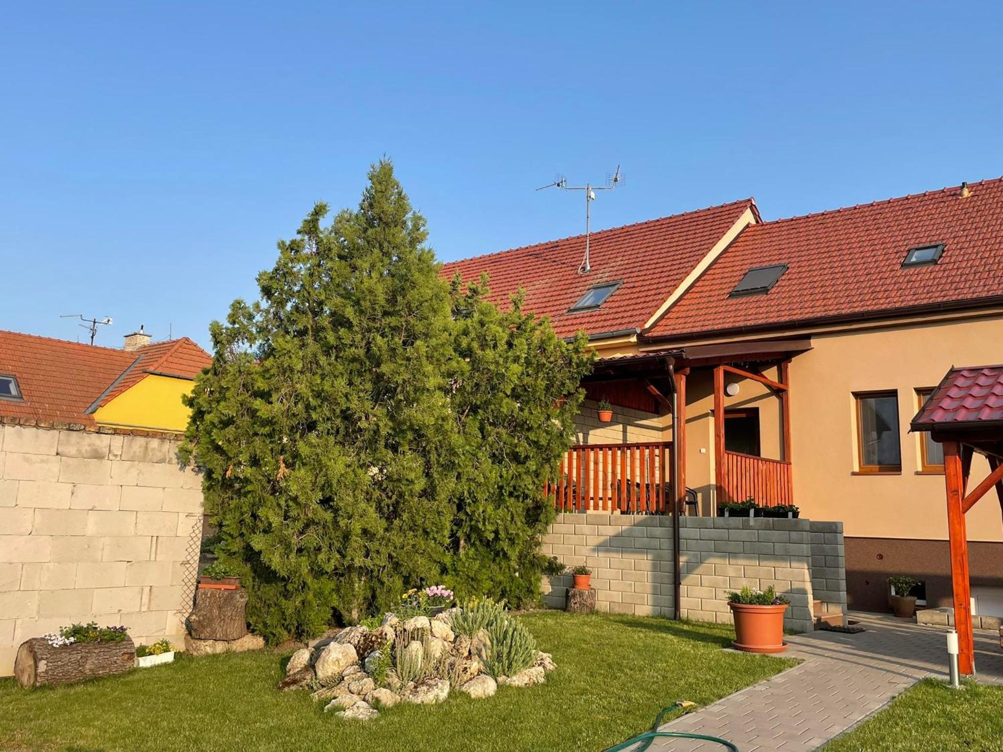 Photo 19
