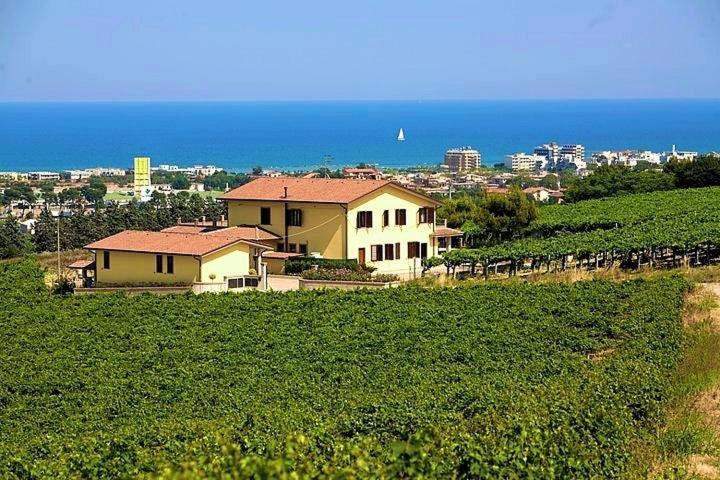Vigneto - Italian Restaurant & B&B view 4