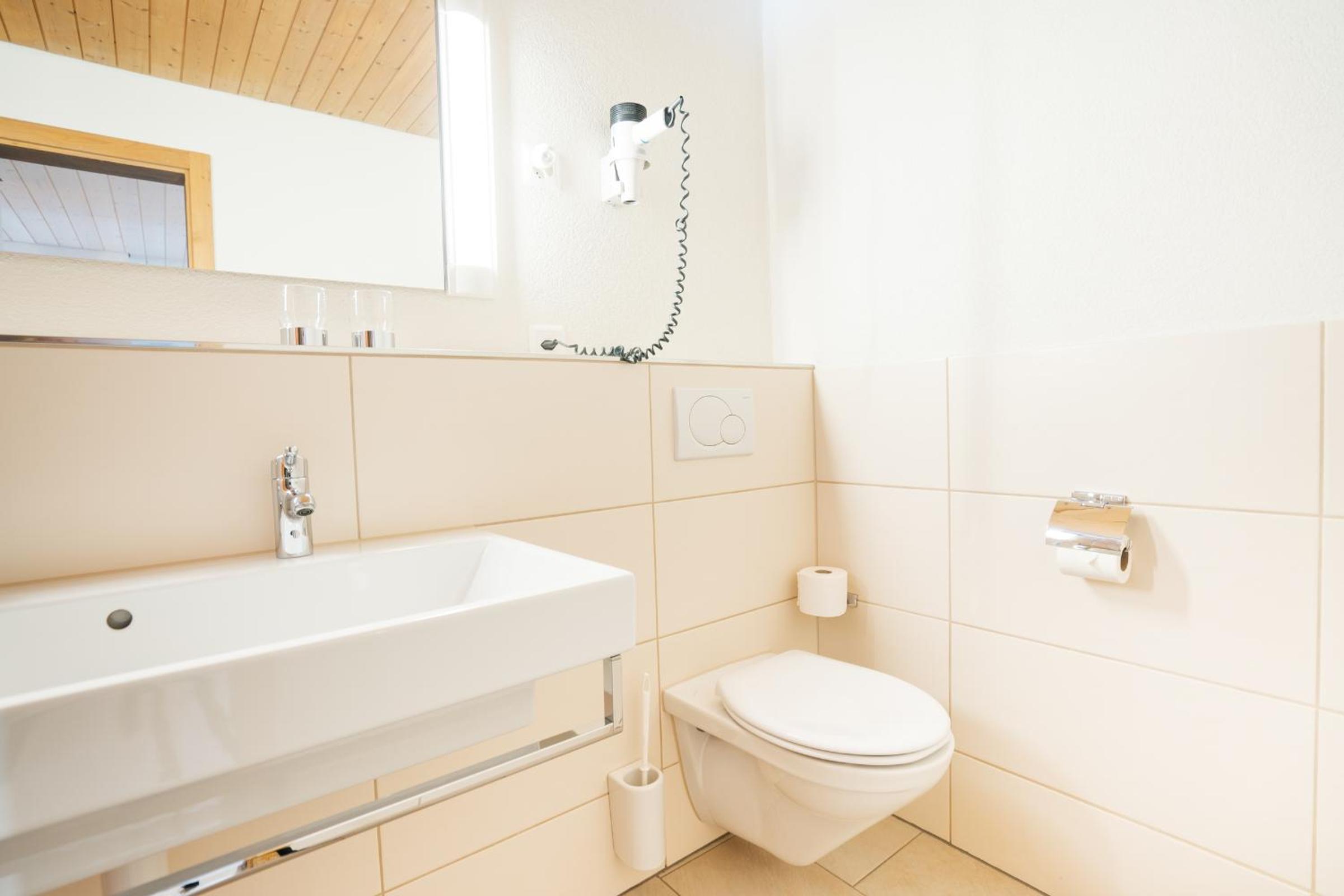 Apartment Bischofberger D20