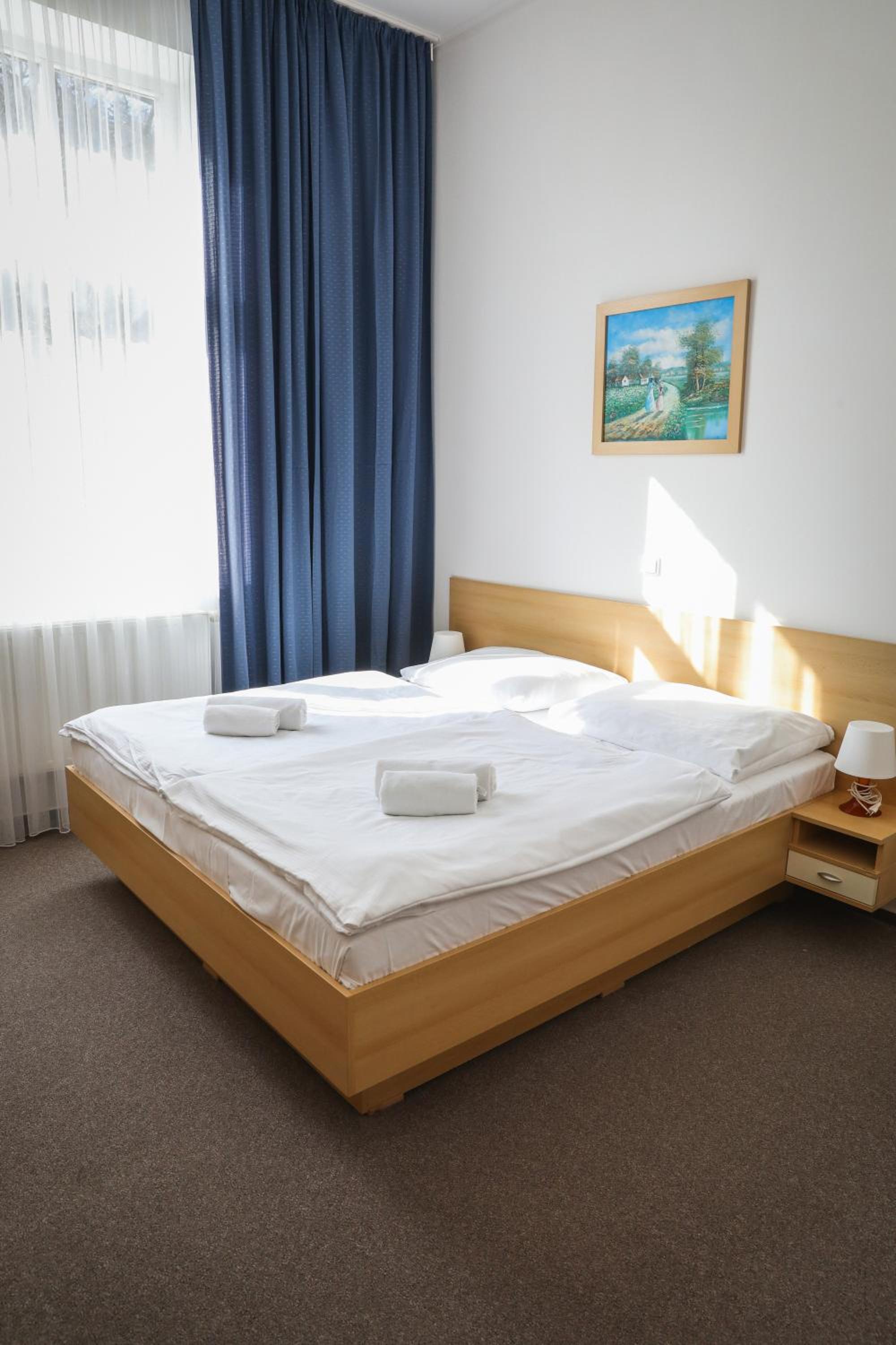Hotel Pod Zámkem