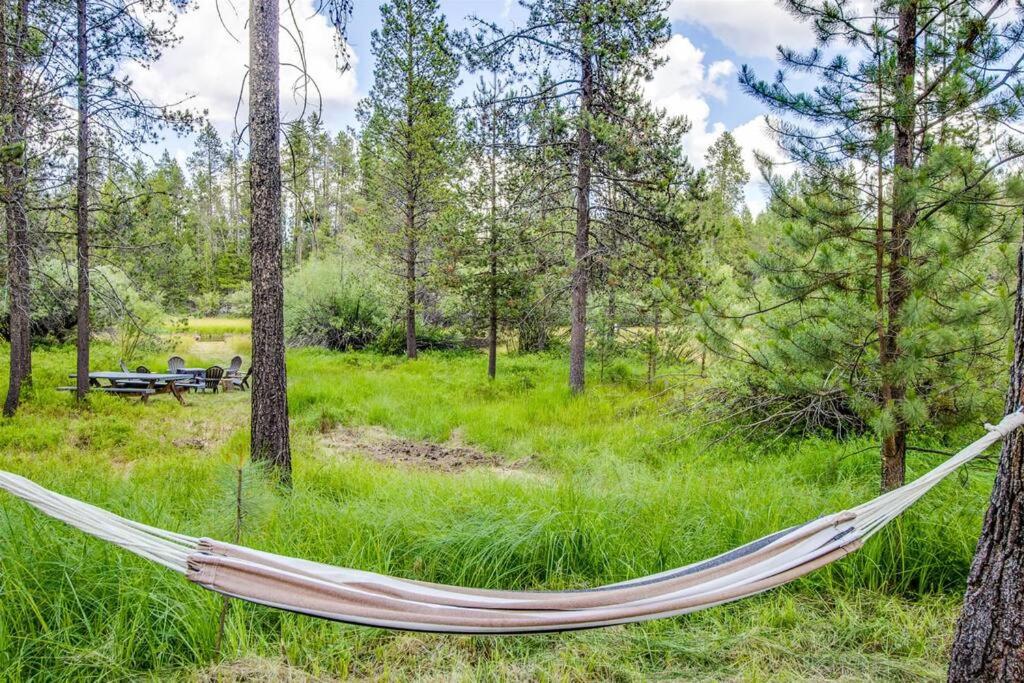 River Run Getaway Private Dock Pet Friendly Kayaks view 5