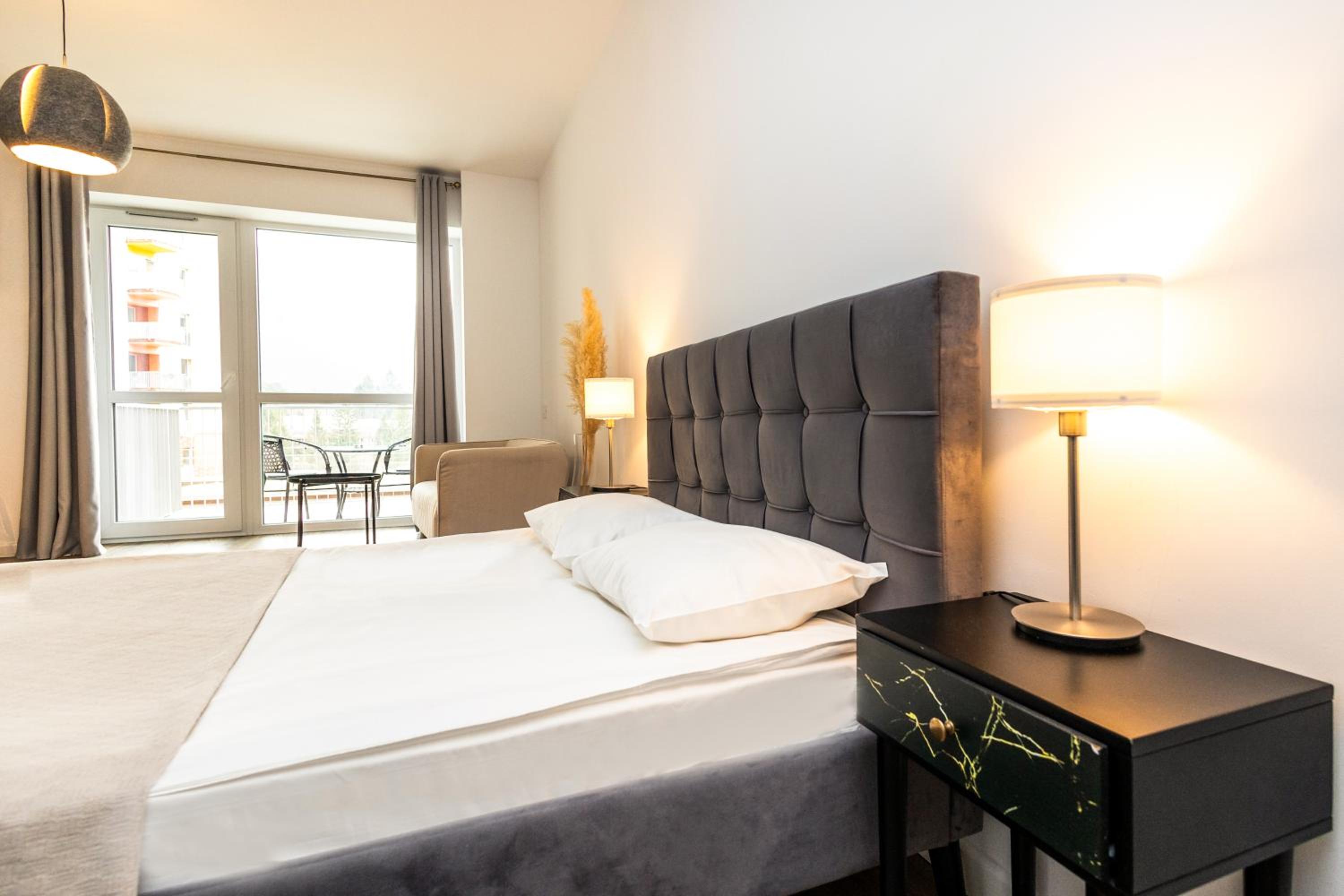 Walter Studio Sinaia with Balcony and Private Parking