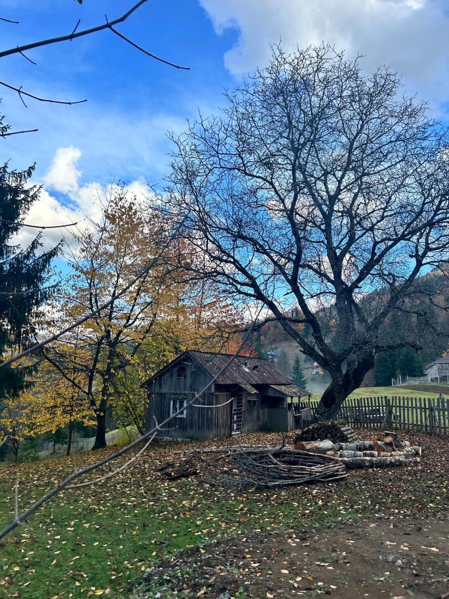 Bârlogul Urșilor
