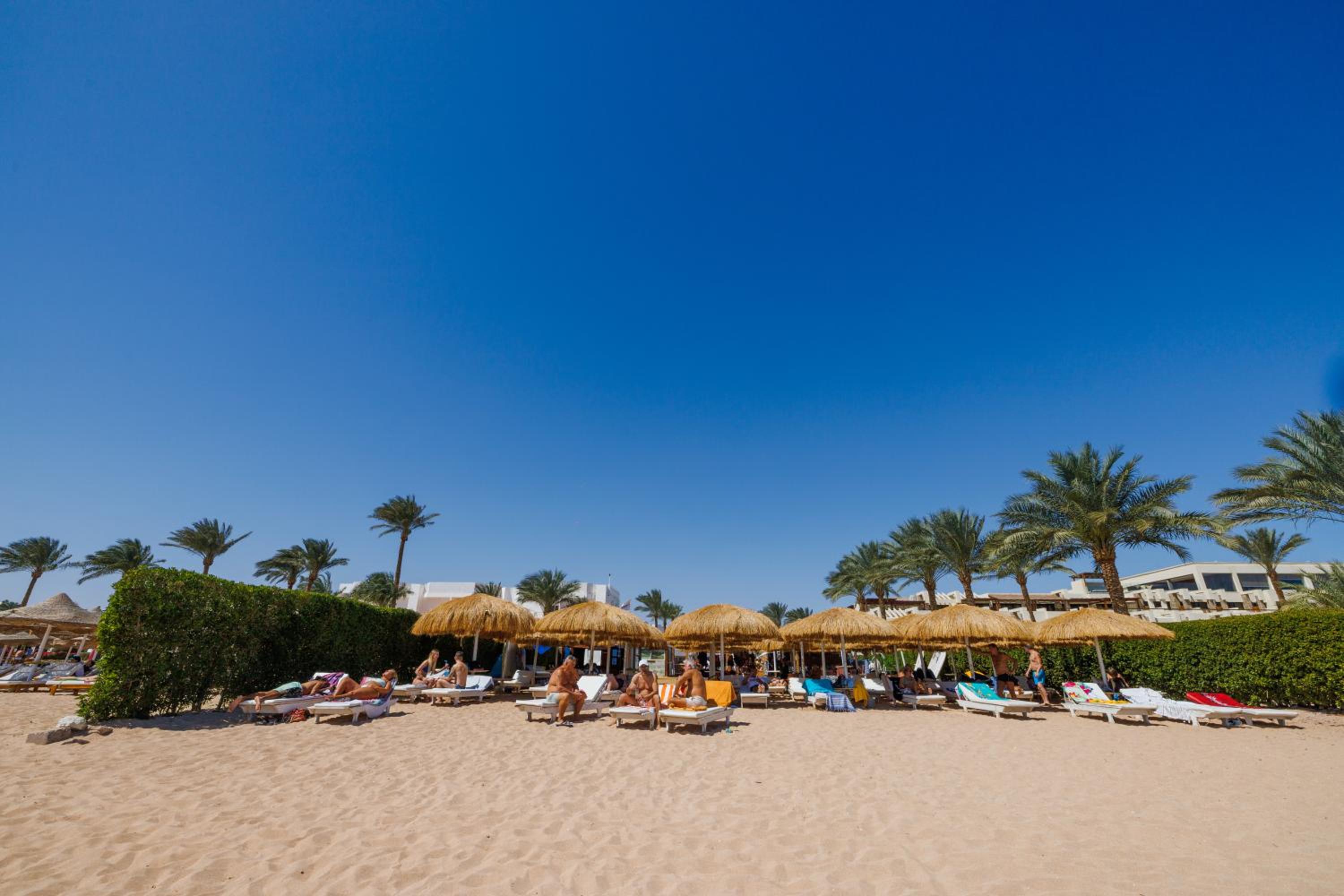 ZAZÀ sharm el sheikh