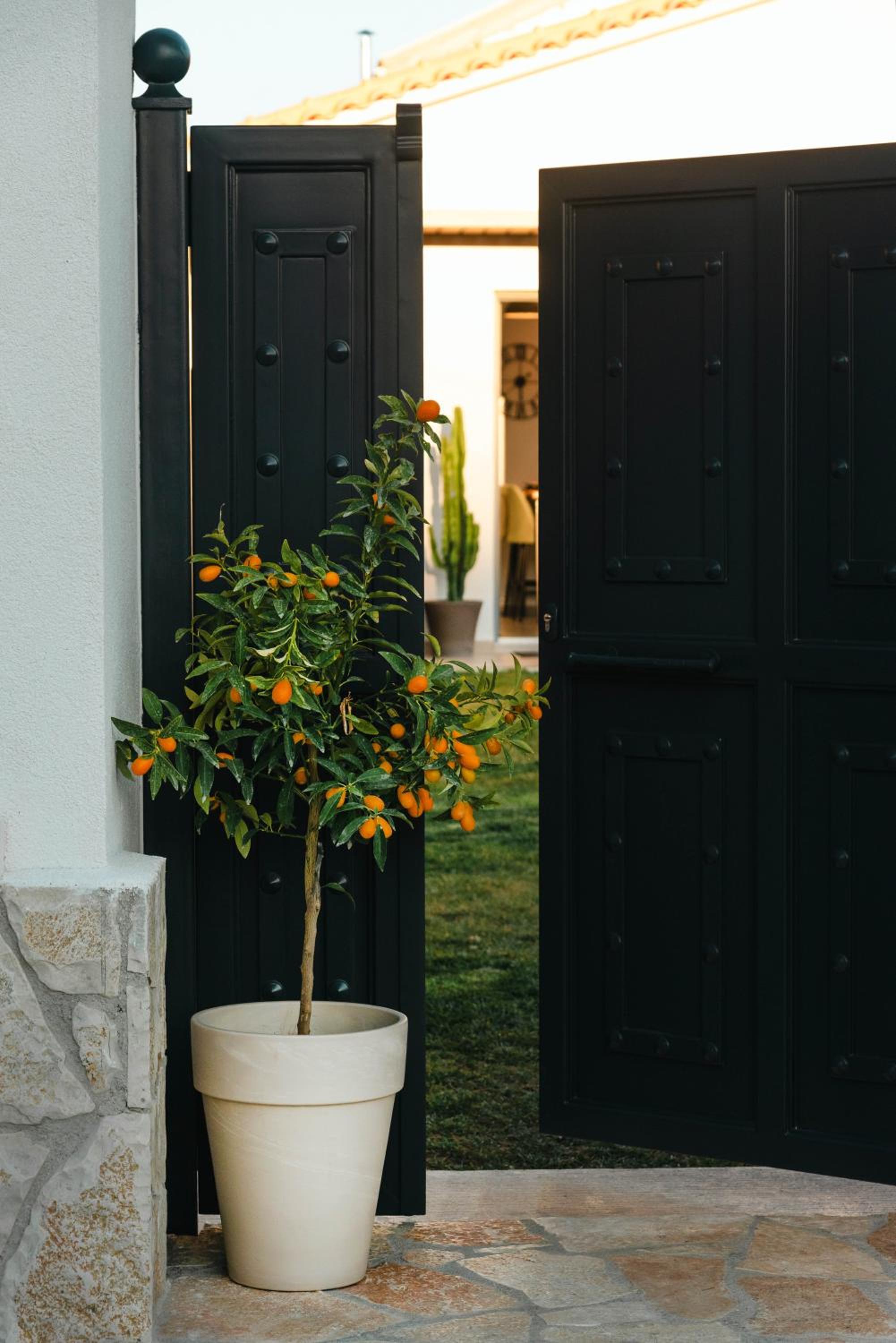 Rustic Charm Villa view 2