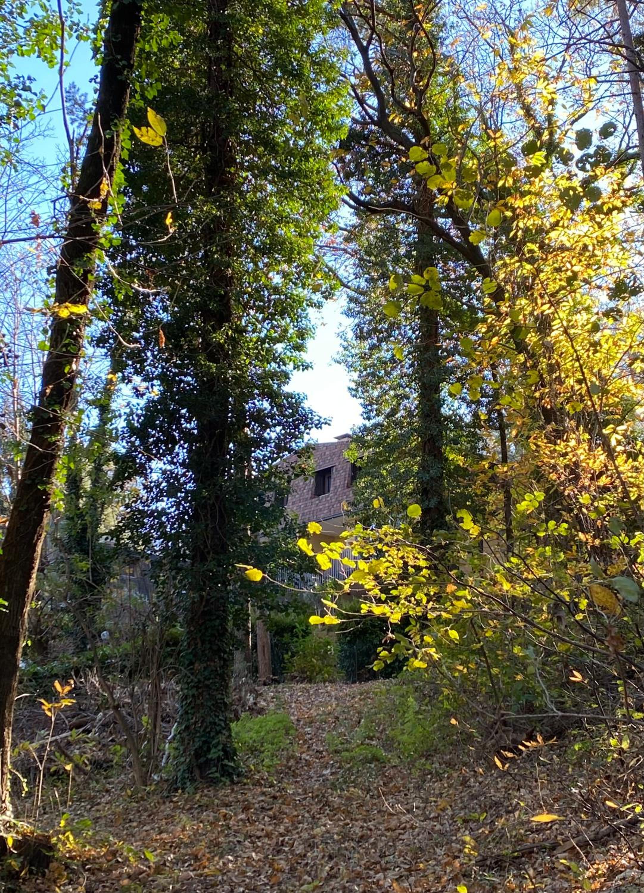 Photo 26