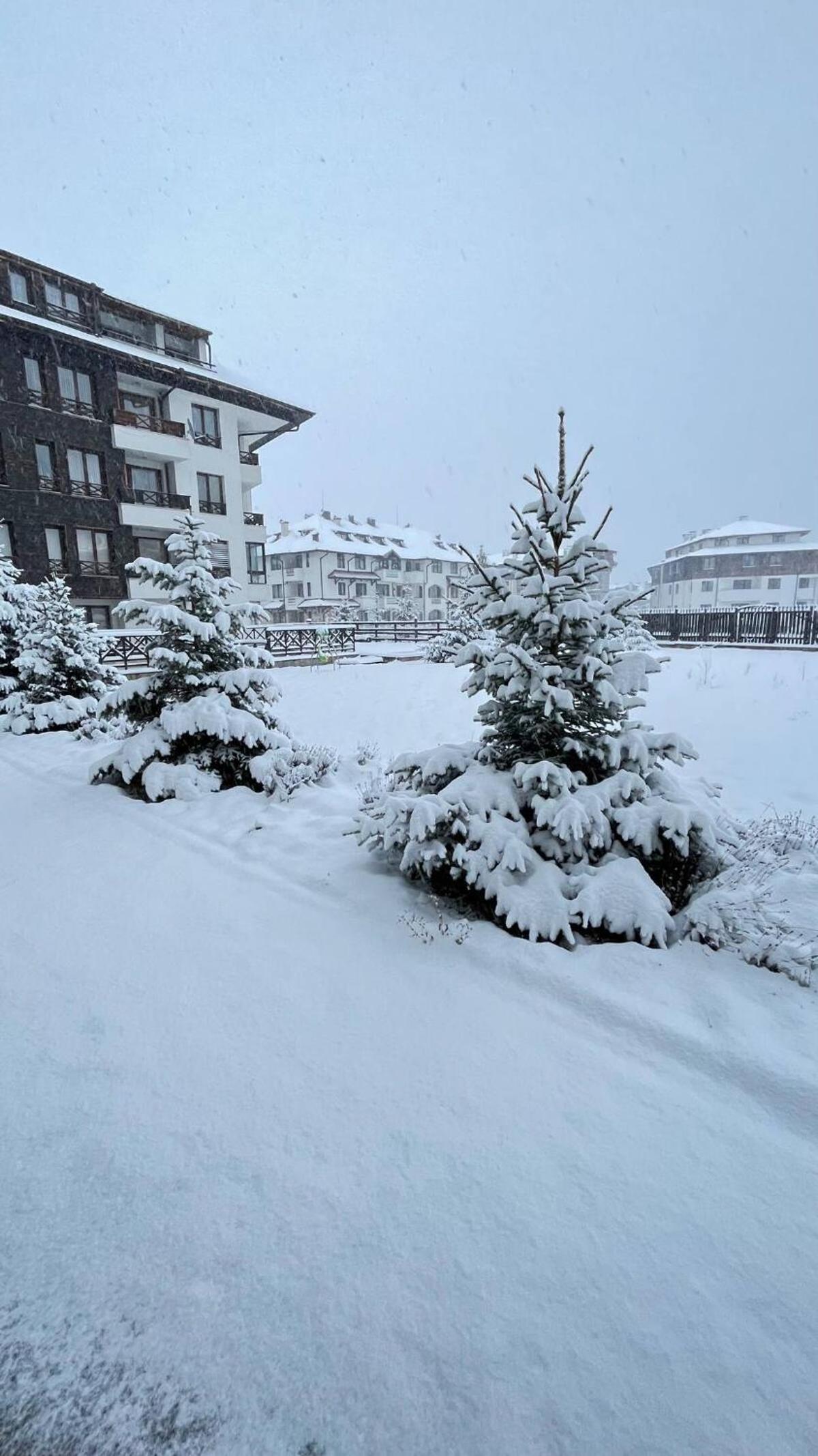 ALTITUDE MOUNTAIN APARTMENTS ASPEN at GONDOLA BANSKO