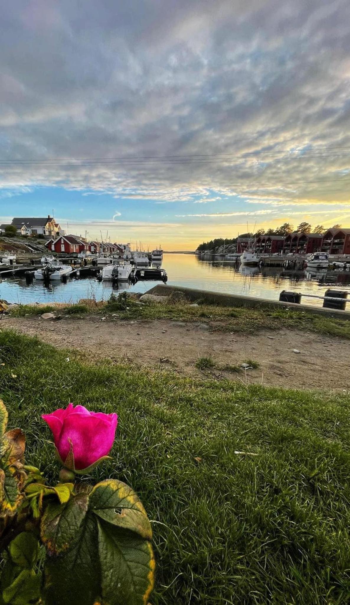 Bestemors hus - med kystnær beliggenhet