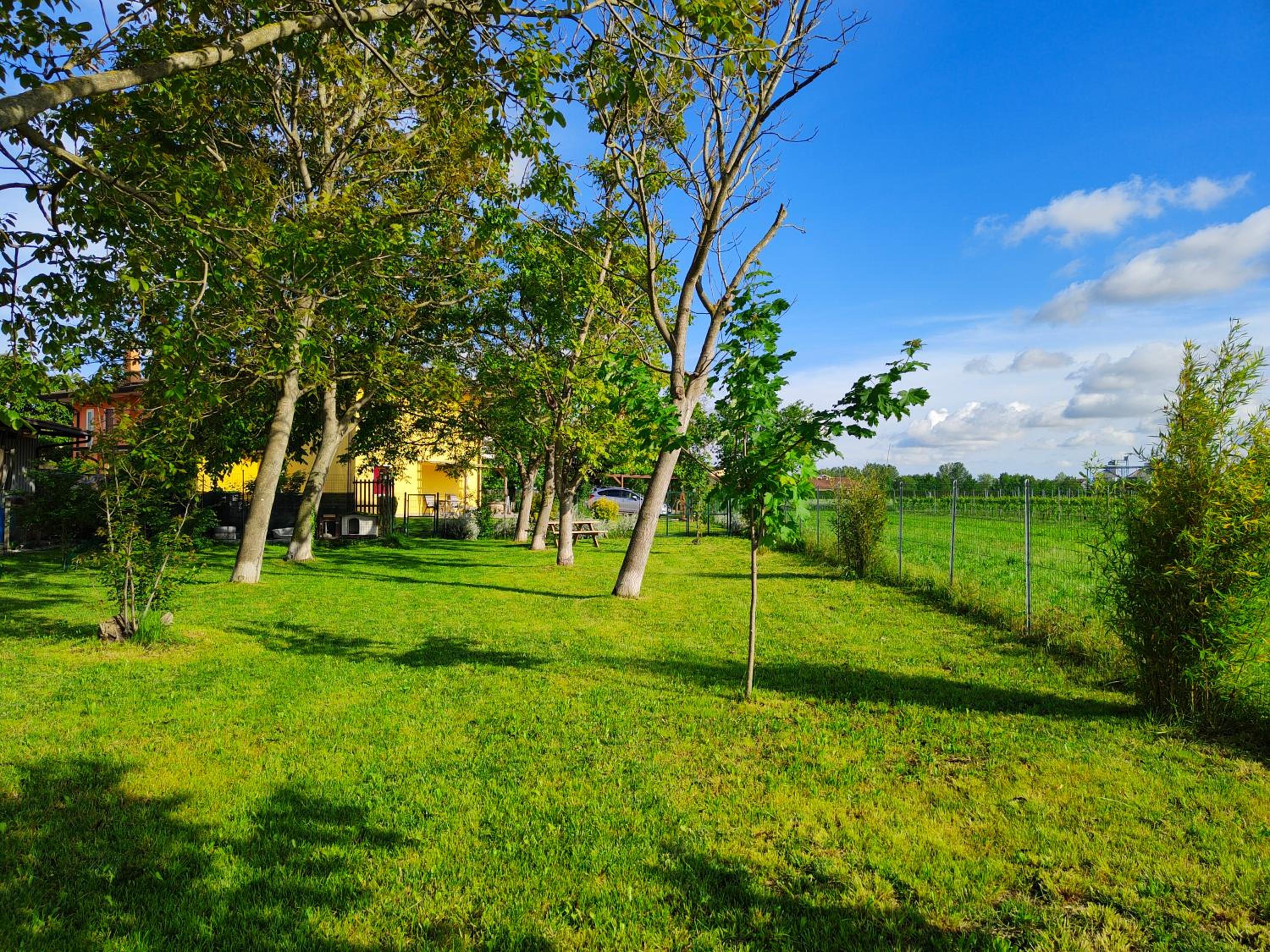 YARD 151, photo 23