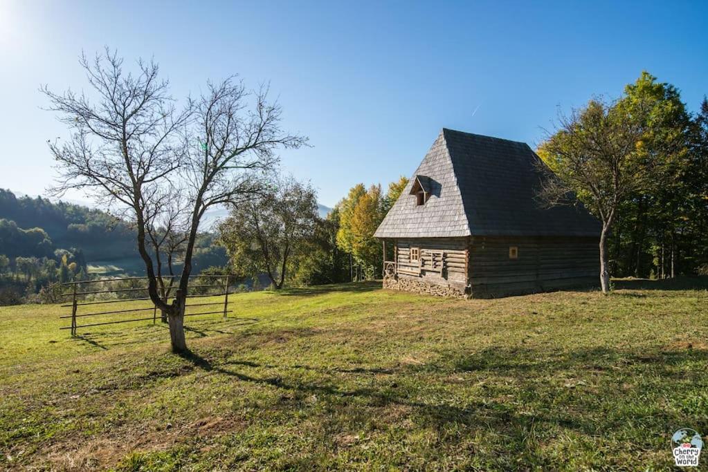 Casa Valea Vinului-traditional house in Maramureș