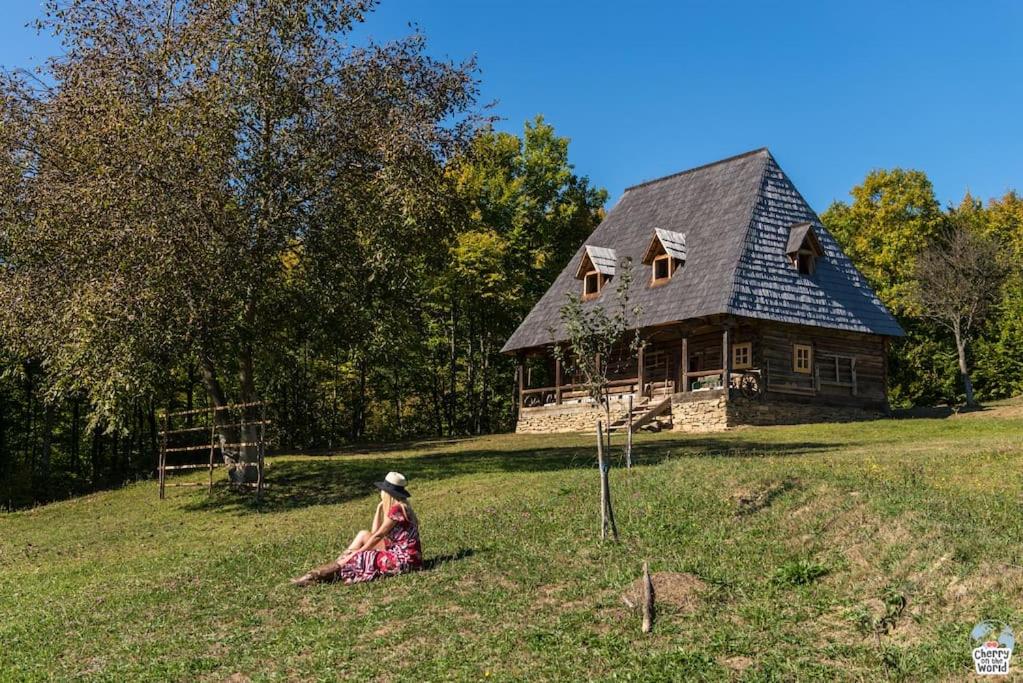 Casa Valea Vinului-traditional house in Maramureș, photo 25