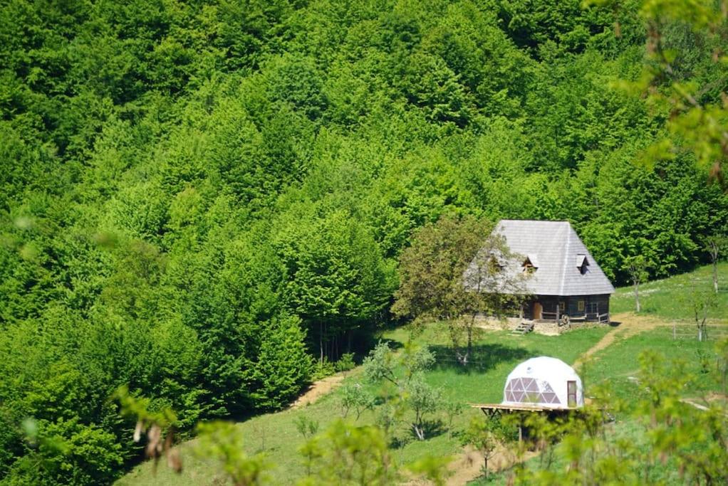 Casa Valea Vinului-traditional house in Maramureș, photo 14